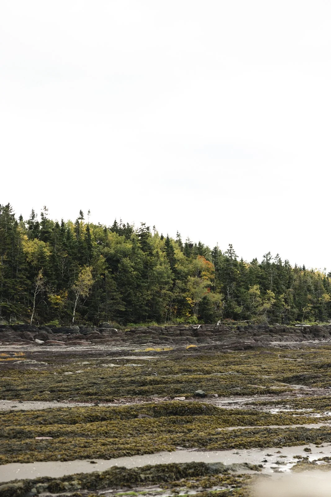 2025-09-26_AnguillesLizotte- Karl-ErikBilodeau -35.jpg