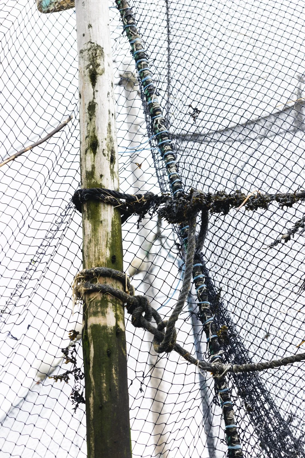 2025-09-26_AnguillesLizotte- Karl-ErikBilodeau -92.jpg