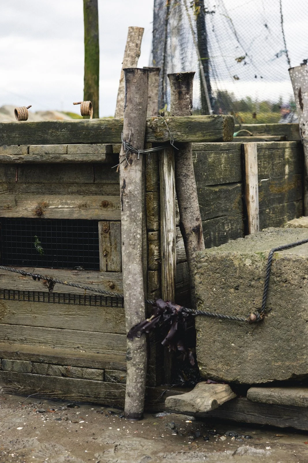 2025-09-26_AnguillesLizotte- Karl-ErikBilodeau -98.jpg