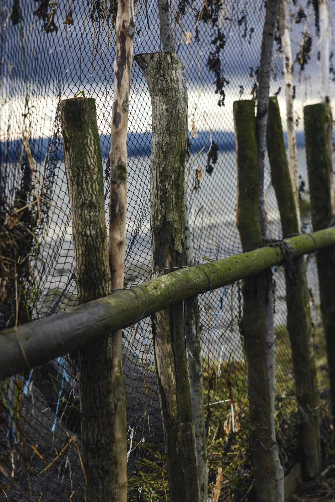 2025-09-26_AnguillesLizotte- Karl-ErikBilodeau -191.jpg