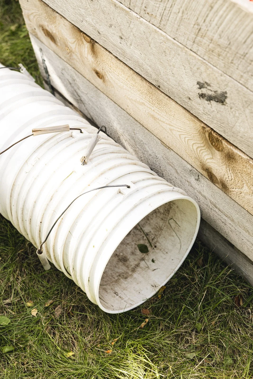 2025-09-28_VergerPommes- Karl-ErikBilodeau -6.jpg