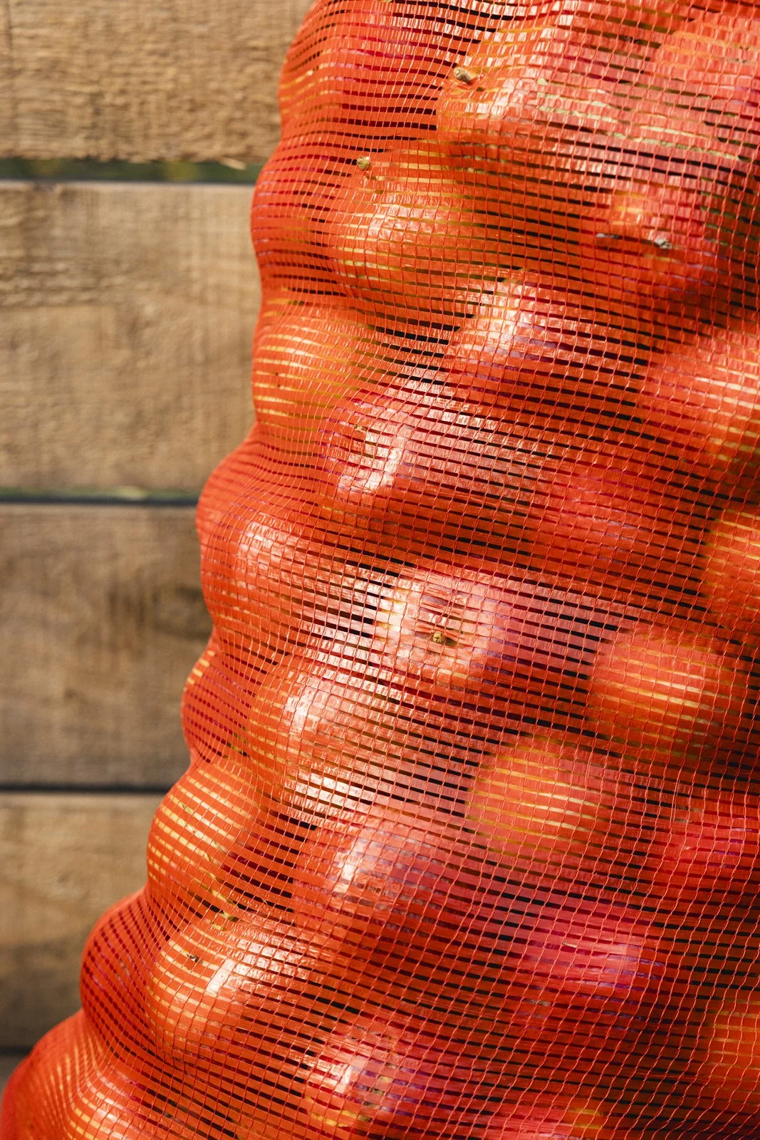 2025-09-28_VergerPommes- Karl-ErikBilodeau -8.jpg