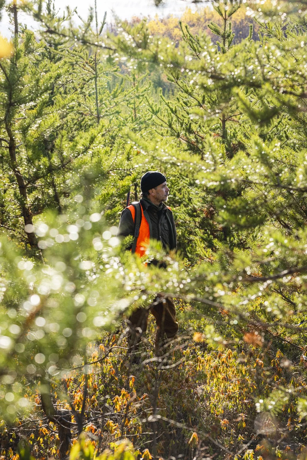 2025-10-13_ChasseGelinotte- Karl-ErikBilodeau -57.jpg