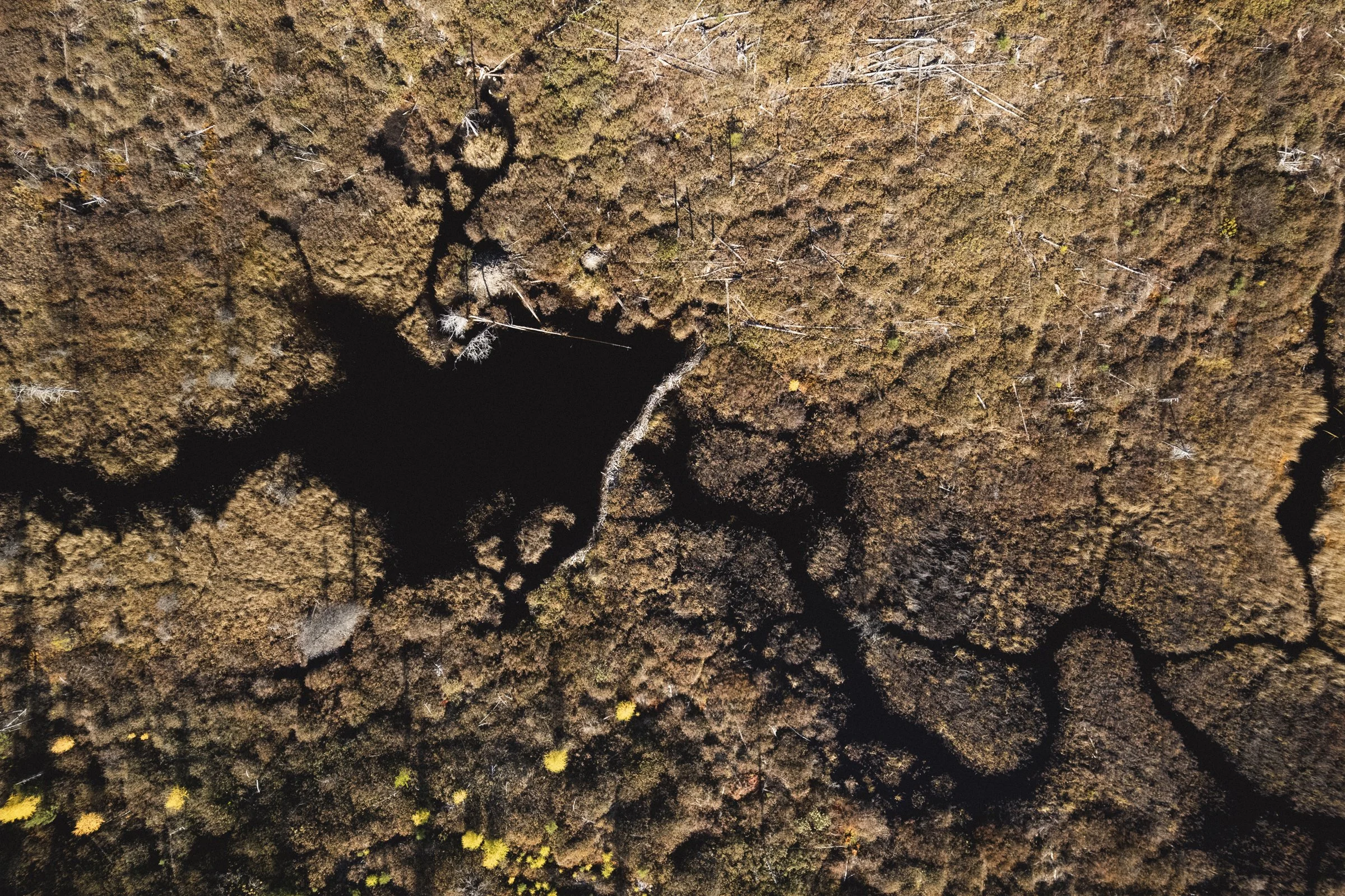 2025-10-13_ChasseGelinotte- Karl-ErikBilodeau -95.jpg