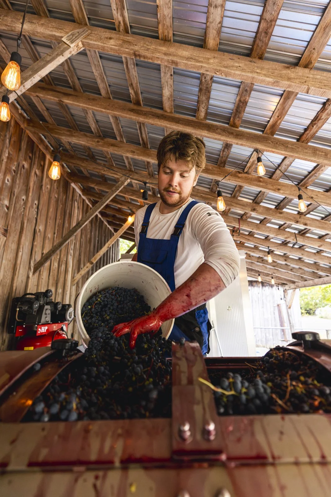 2025-09-22_VignobleArdennais- Karl-ErikBilodeau -7.jpg