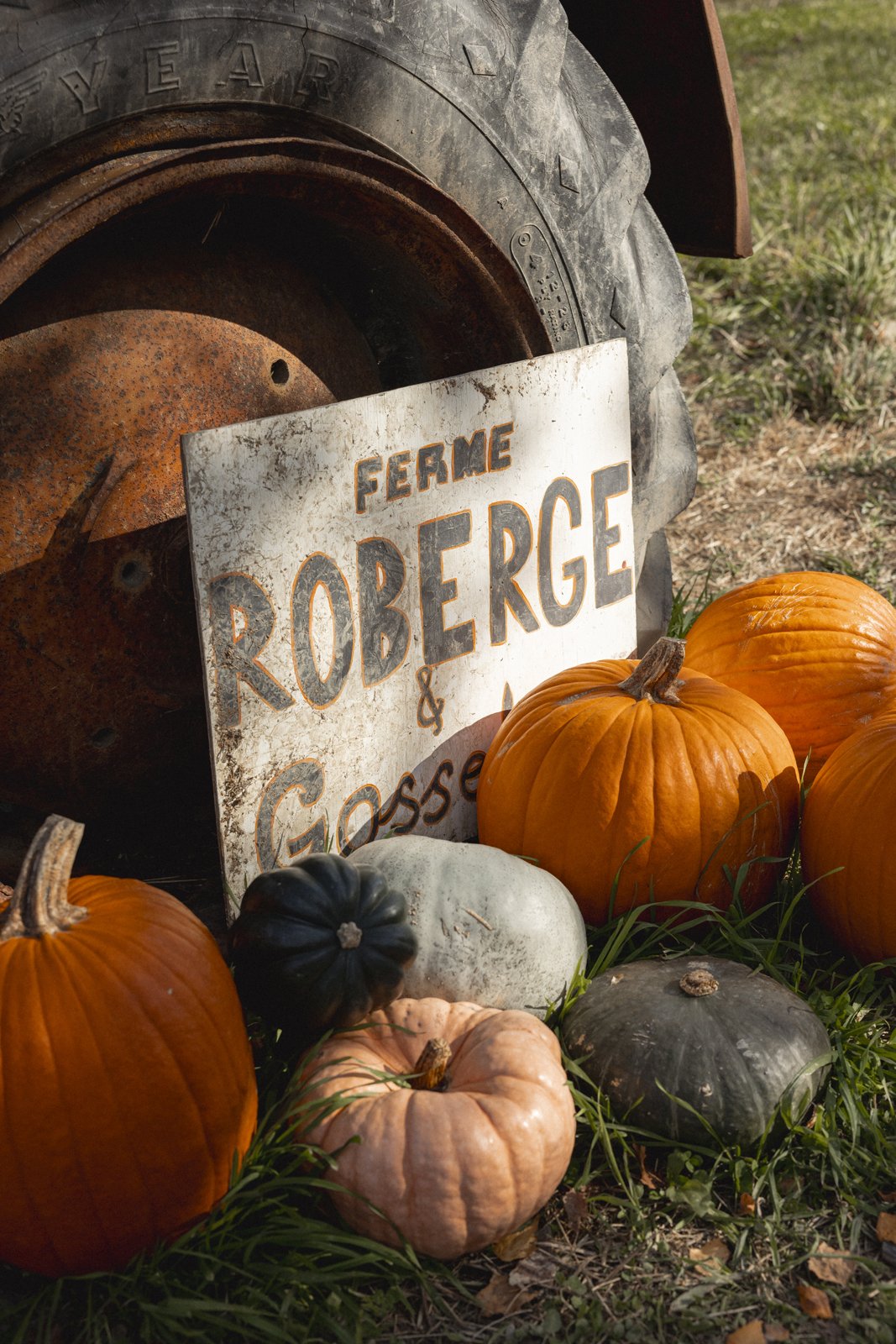 2025-10-09_FermeGosselin- Karl-ErikBilodeau -39.jpg