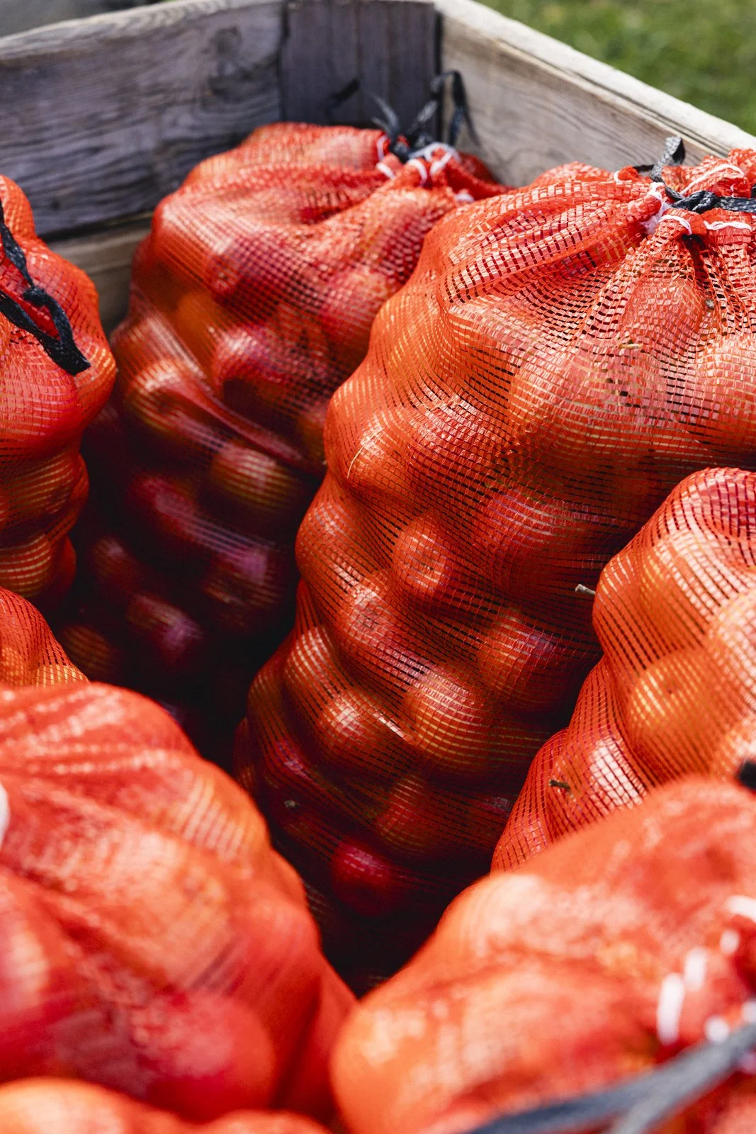 2025-09-28_VergerPommes- Karl-ErikBilodeau -2.jpg