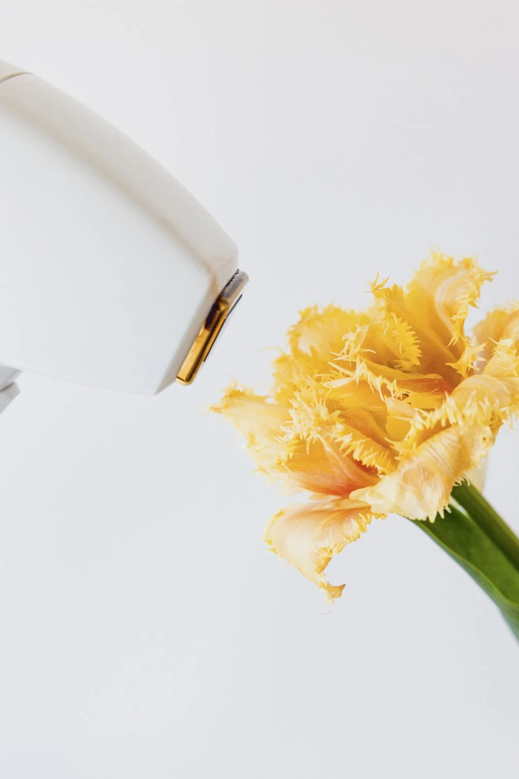 Un pistolet à peinture blanc vaporise de la peinture sur une fleur de lis.