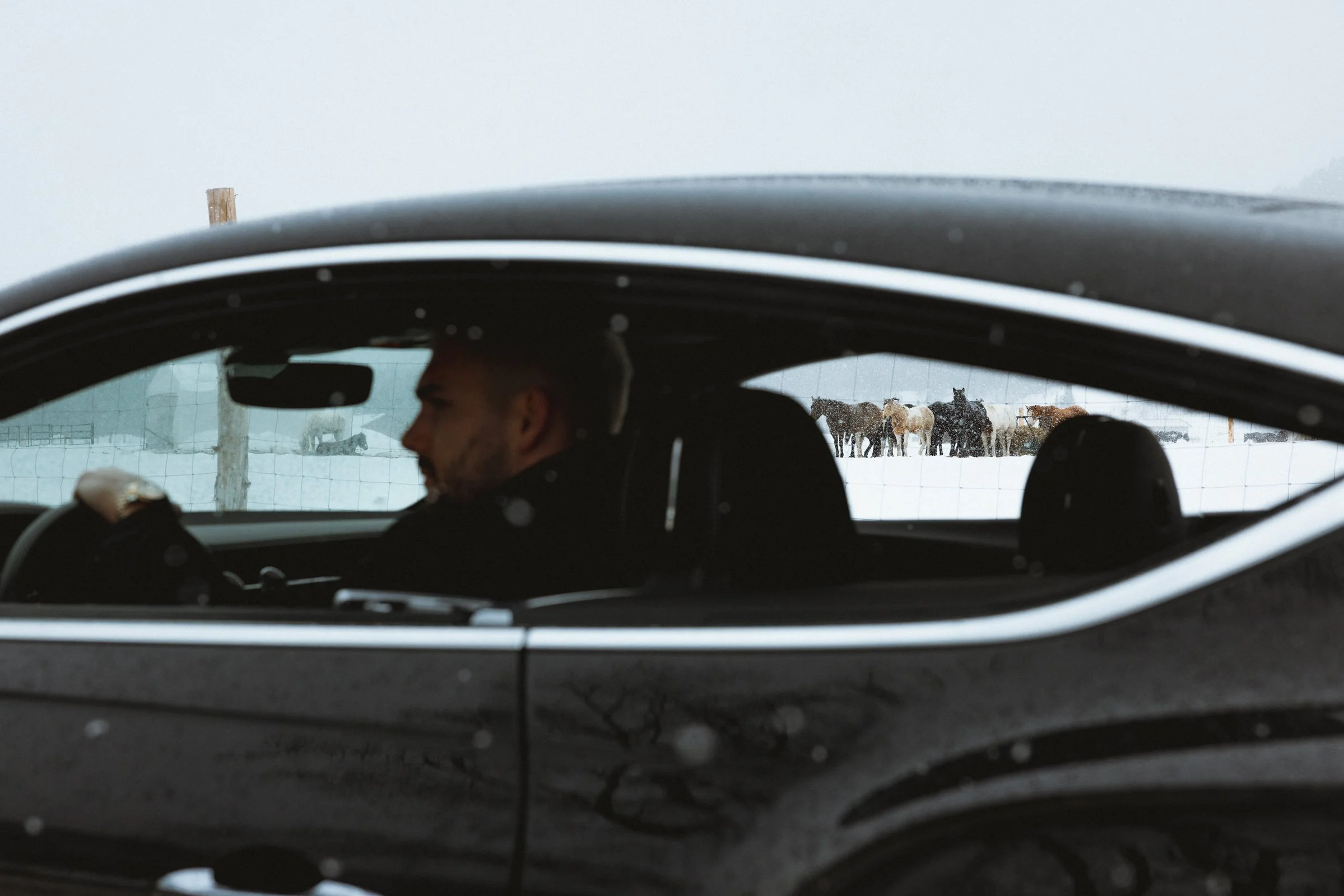 Une vue partielle d'un homme assis dans une voiture noire, regardant vers l'avant, avec un arrière-plan de chevaux dans un champ enneigé en extérieur, vu à travers la fenêtre arrière de la voiture.
