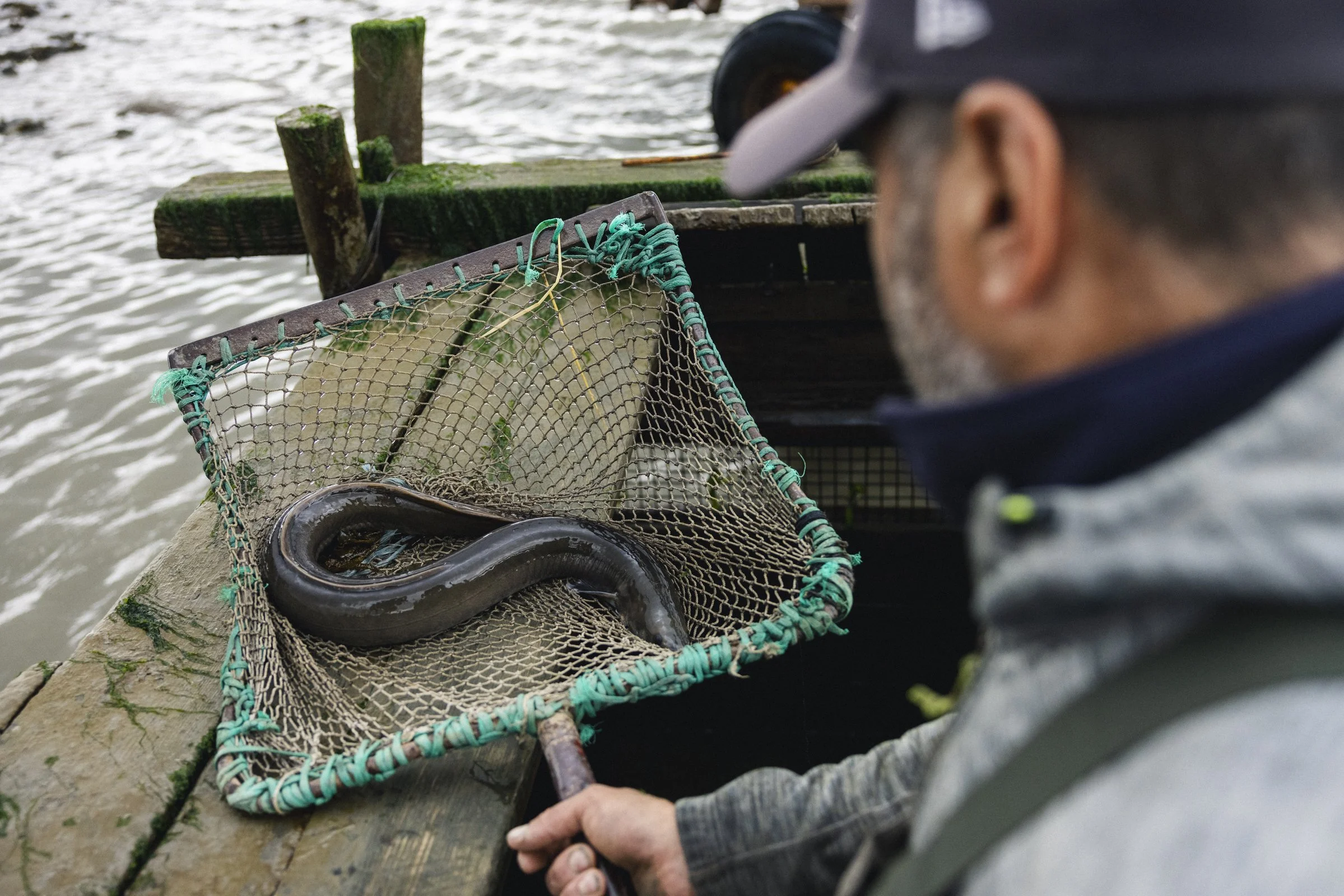 2025-09-26_AnguillesLizotte- Karl-ErikBilodeau -166.jpg