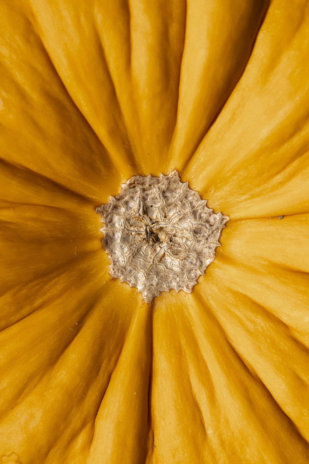 2025-10-09_FermeGosselin- Karl-ErikBilodeau -31.jpg