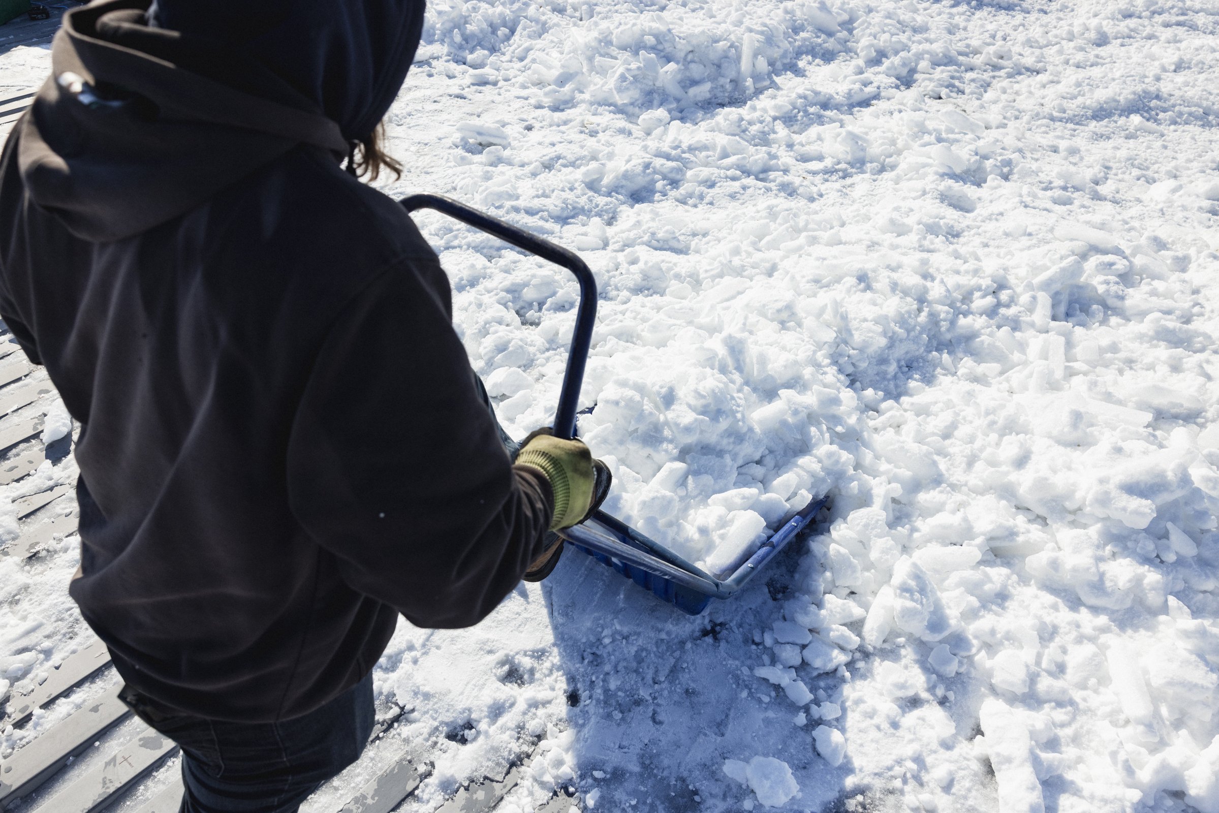 2026-02-10_Multi-Toits- Karl-ErikBilodeau -31.jpg