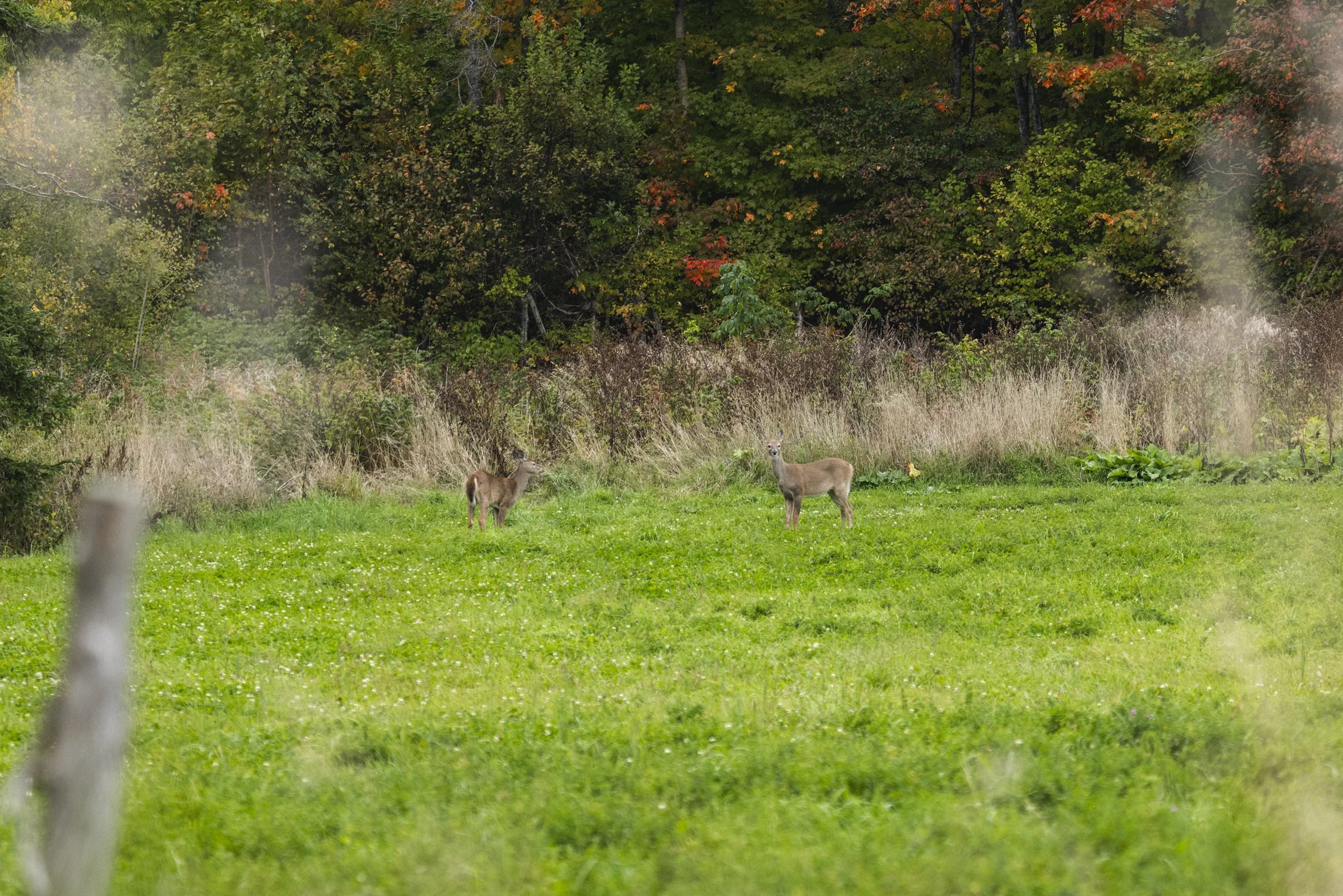 2025-09-26_AnguillesLizotte- Karl-ErikBilodeau -214.jpg