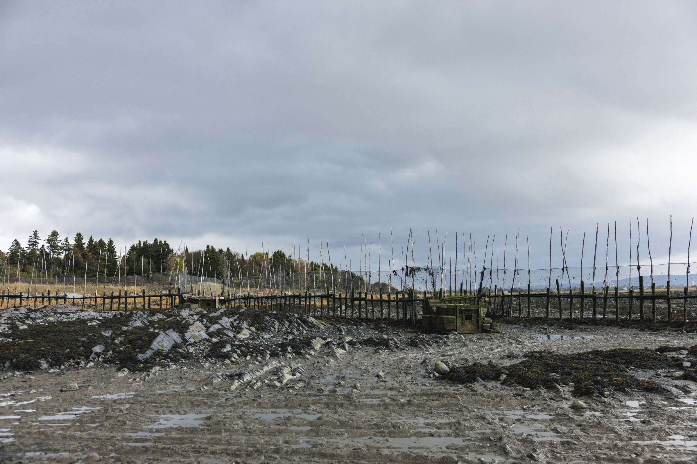 2025-09-26_AnguillesLizotte- Karl-ErikBilodeau -153.jpg