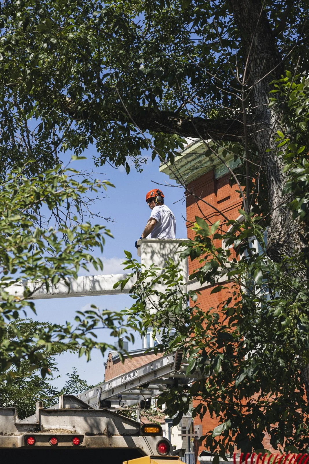 Un ouvrier en casque orange et vêtements blancs travaillant en hauteur sur une plateforme élévatrice près d'un arbre et d'un bâtiment en briques rouges sous un ciel bleu.