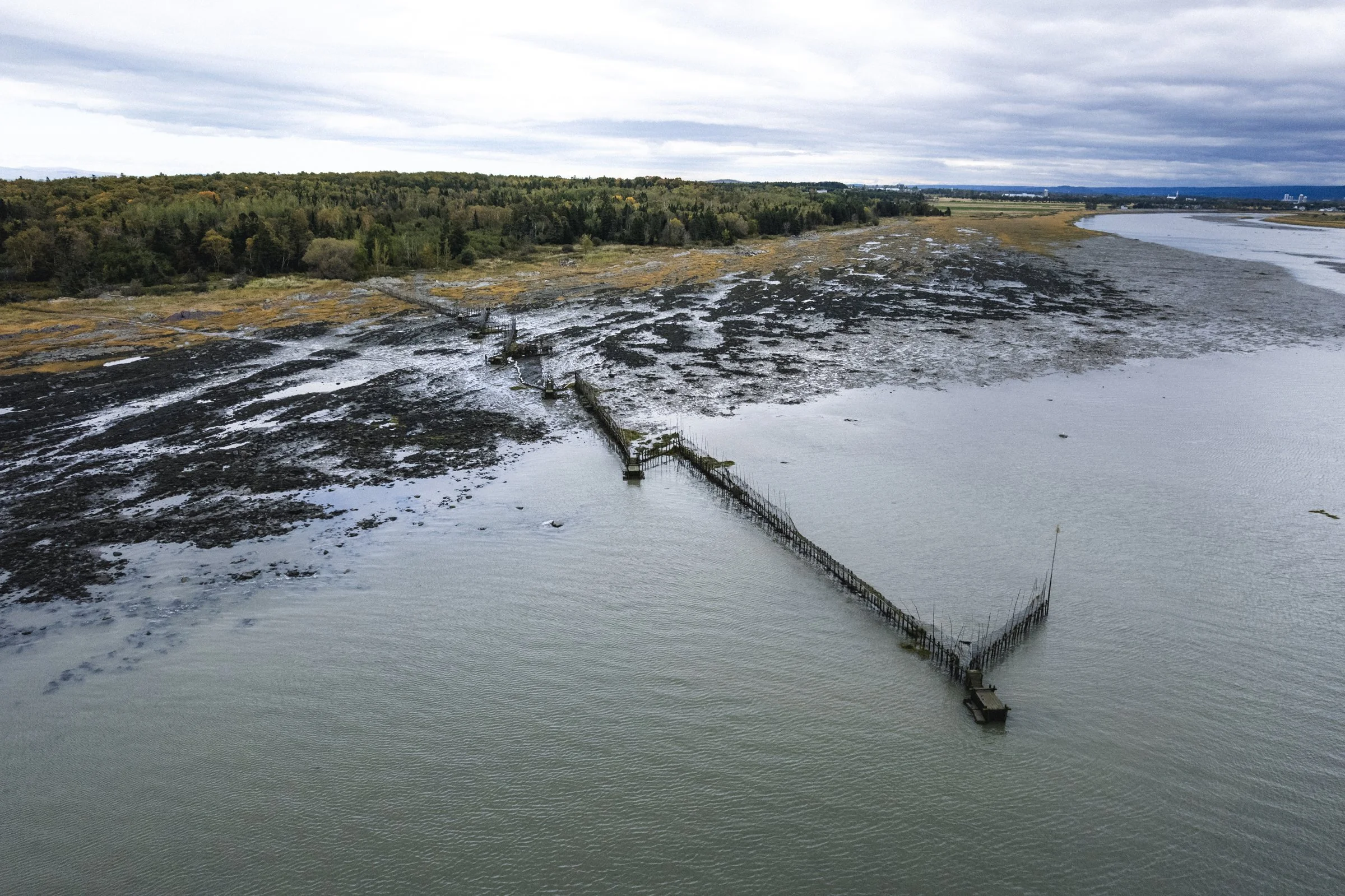 2025-09-26_AnguillesLizotte- Karl-ErikBilodeau -192.jpg