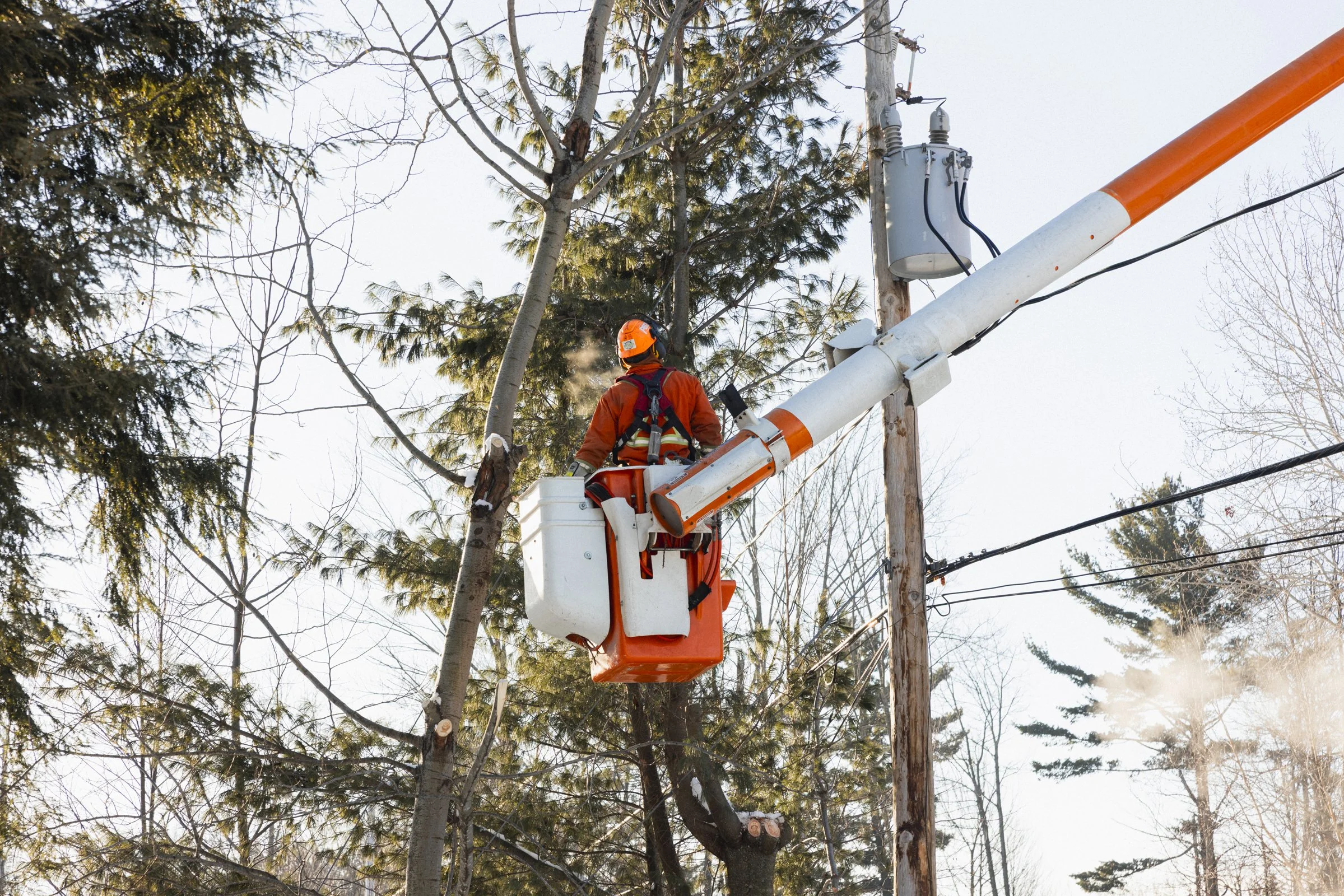 2026-02-03_VertLeFutur- Karl-ErikBilodeau -7.jpg