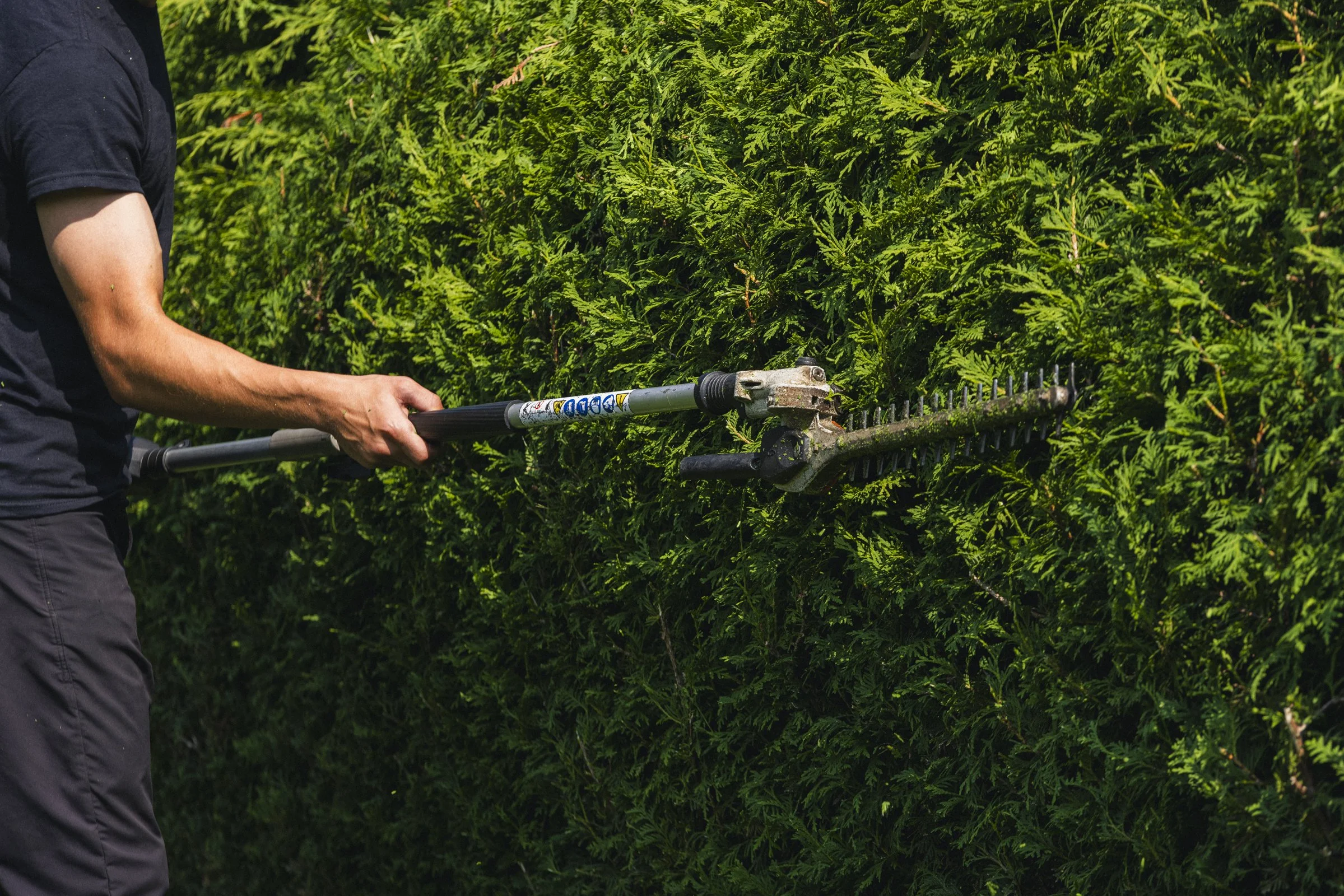 Personne taillant une haie avec un sécateur dans un jardin verdoyant.