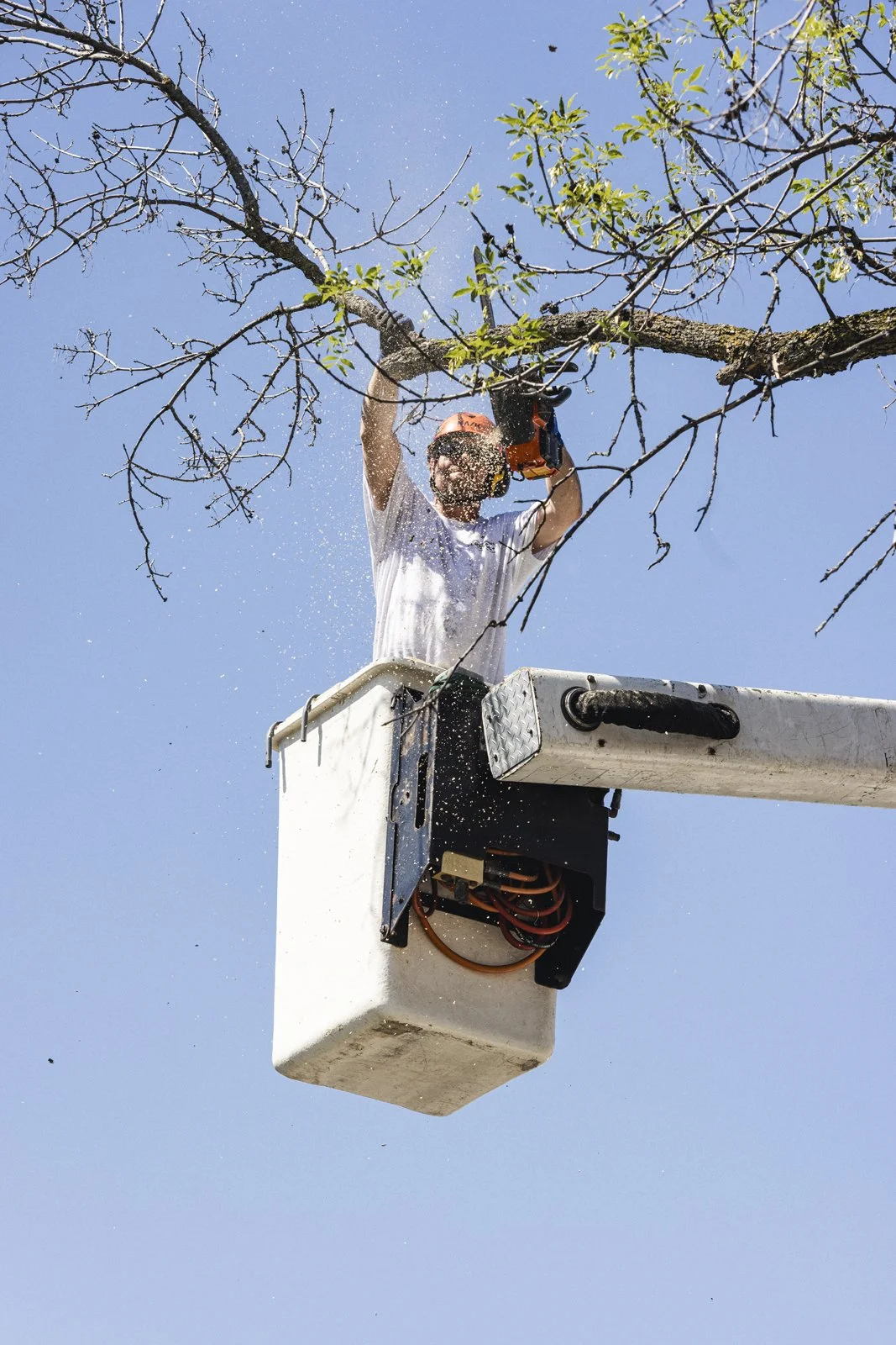 Un homme portant un casque de sécurité coupe une branche d'arbre avec une scie électrique depuis un panier élévateur contre un ciel bleu