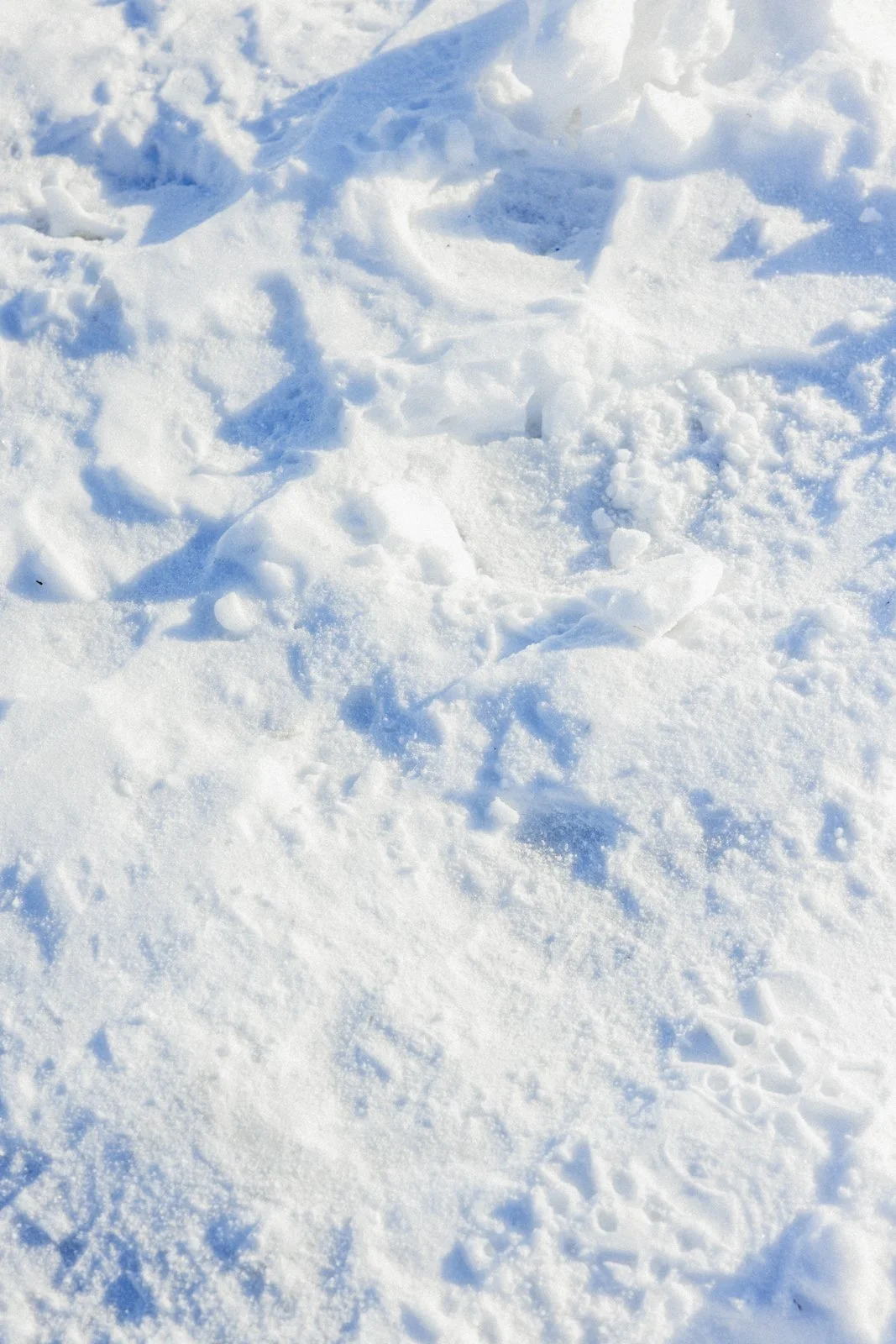 2026-02-10_Multi-Toits- Karl-ErikBilodeau -3.jpg