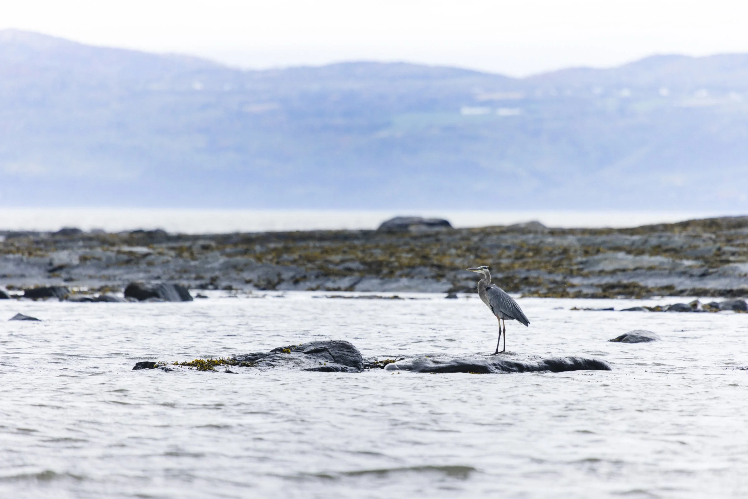 2025-09-26_AnguillesLizotte- Karl-ErikBilodeau -175.jpg