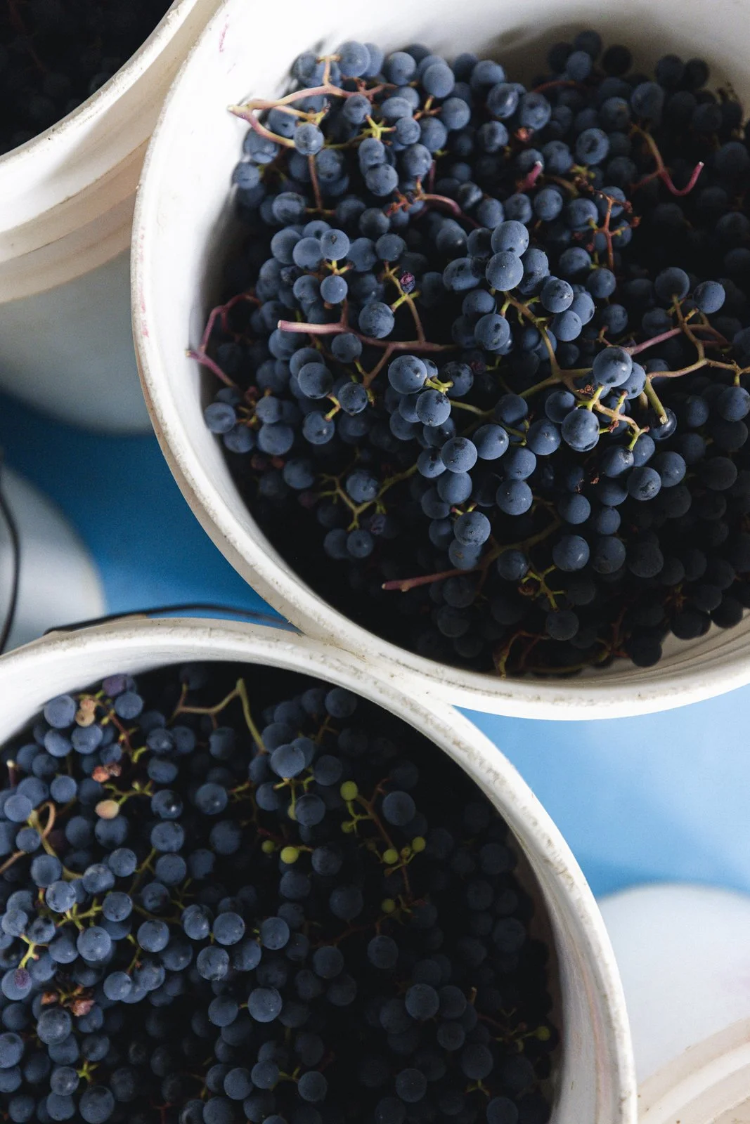 2025-09-22_VignobleArdennais- Karl-ErikBilodeau -79.jpg