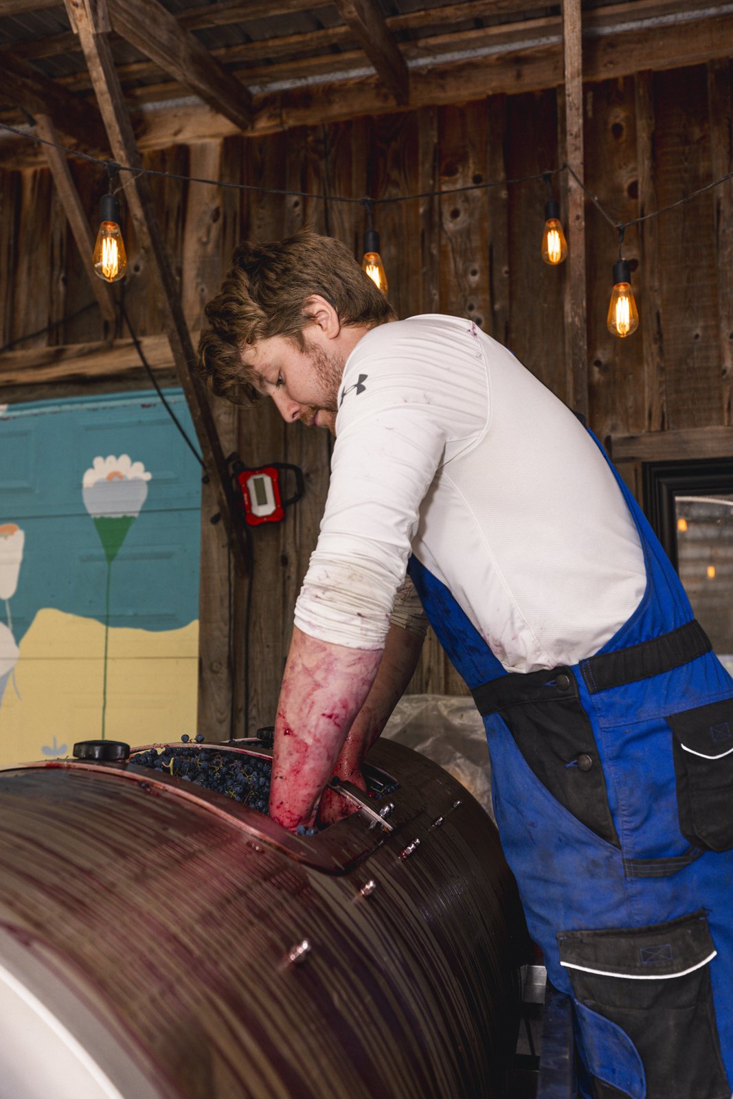 2025-09-22_VignobleArdennais- Karl-ErikBilodeau -4.jpg