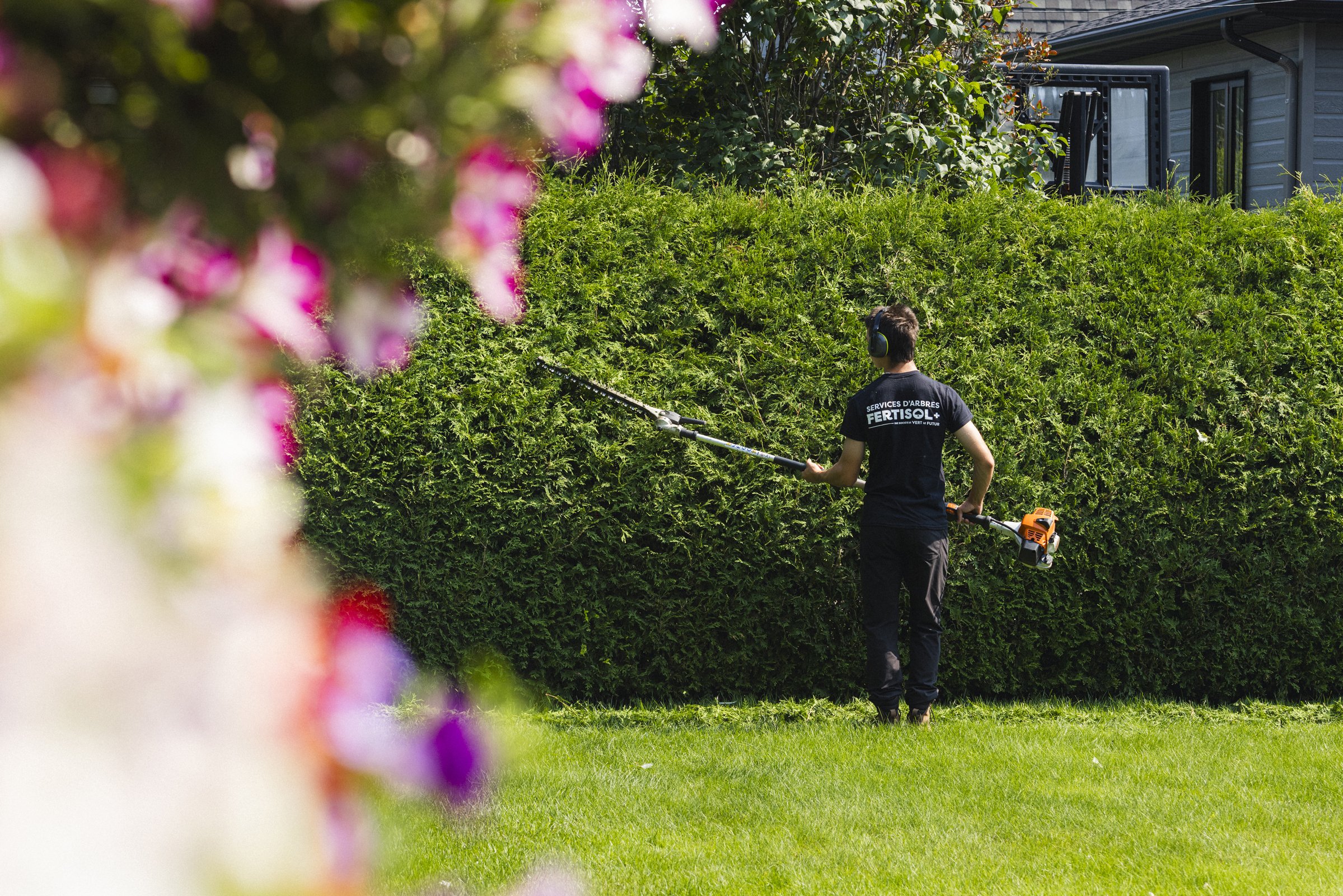 Personne utilisant un taille-haie électrique pour tailler une haie dans un jardin, vue de dos, portant un t-shirt noir et un casque antibruit.