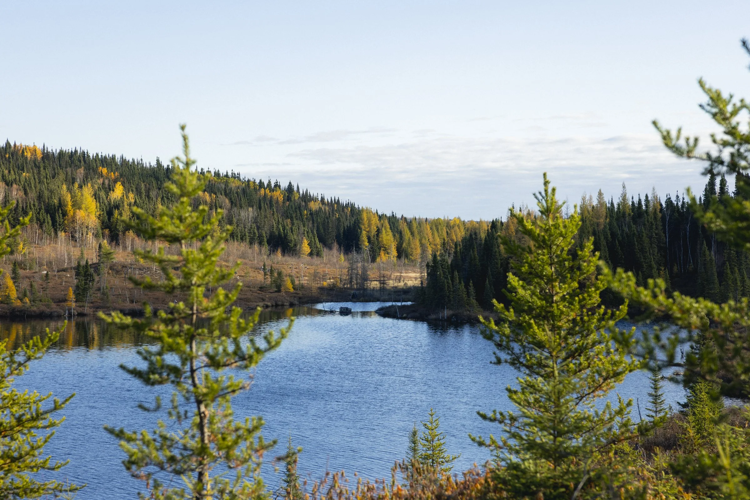 2025-10-13_ChasseGelinotte- Karl-ErikBilodeau -72.jpg