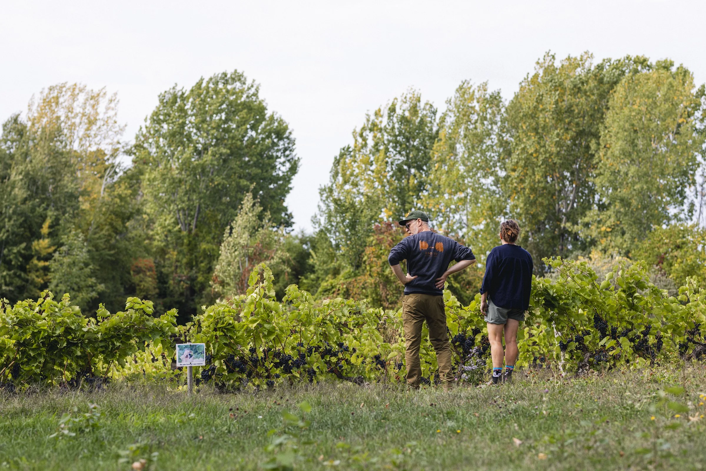 2025-09-22_VignobleArdennais- Karl-ErikBilodeau -12.jpg