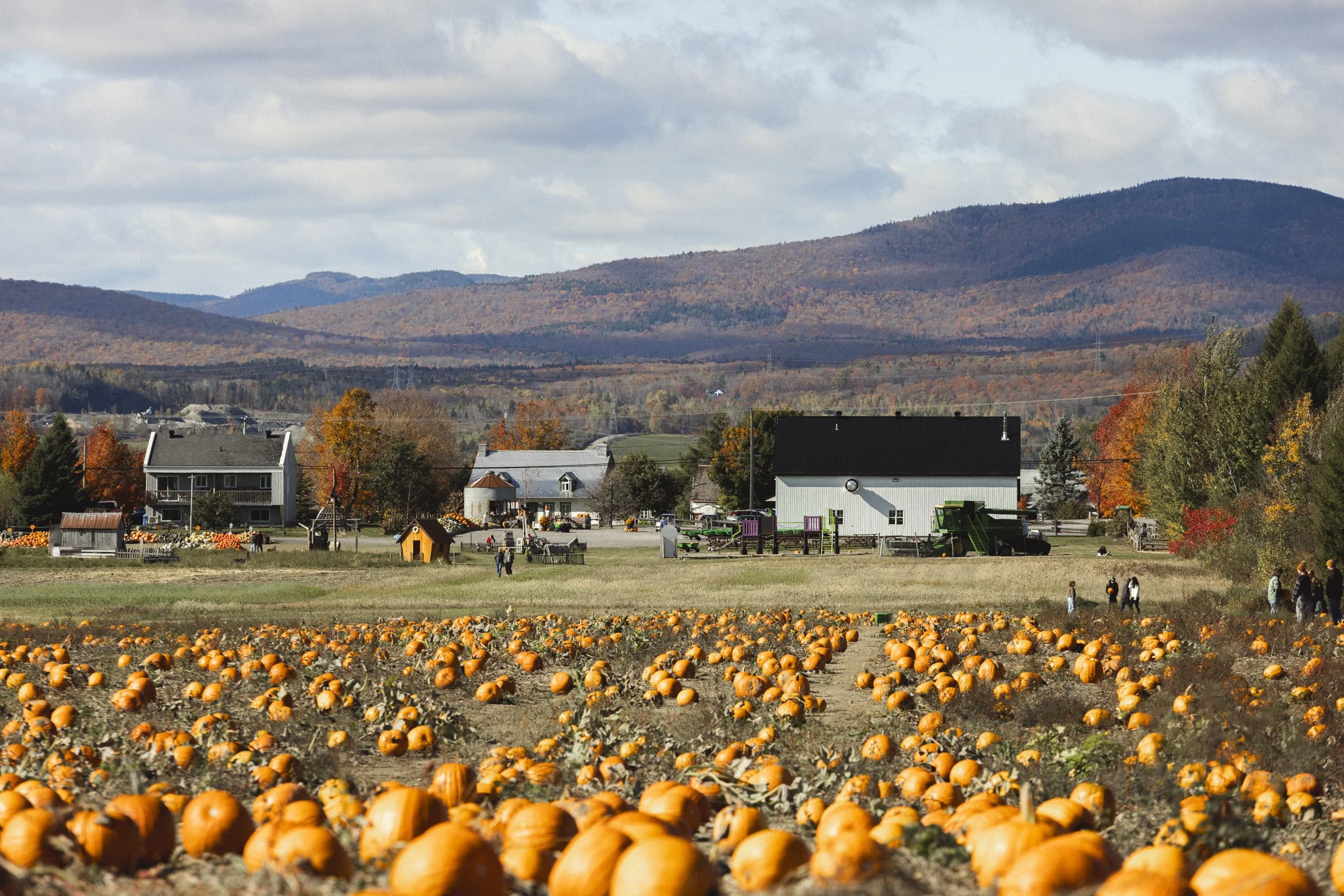 2025-10-09_FermeGosselin- Karl-ErikBilodeau -22.jpg