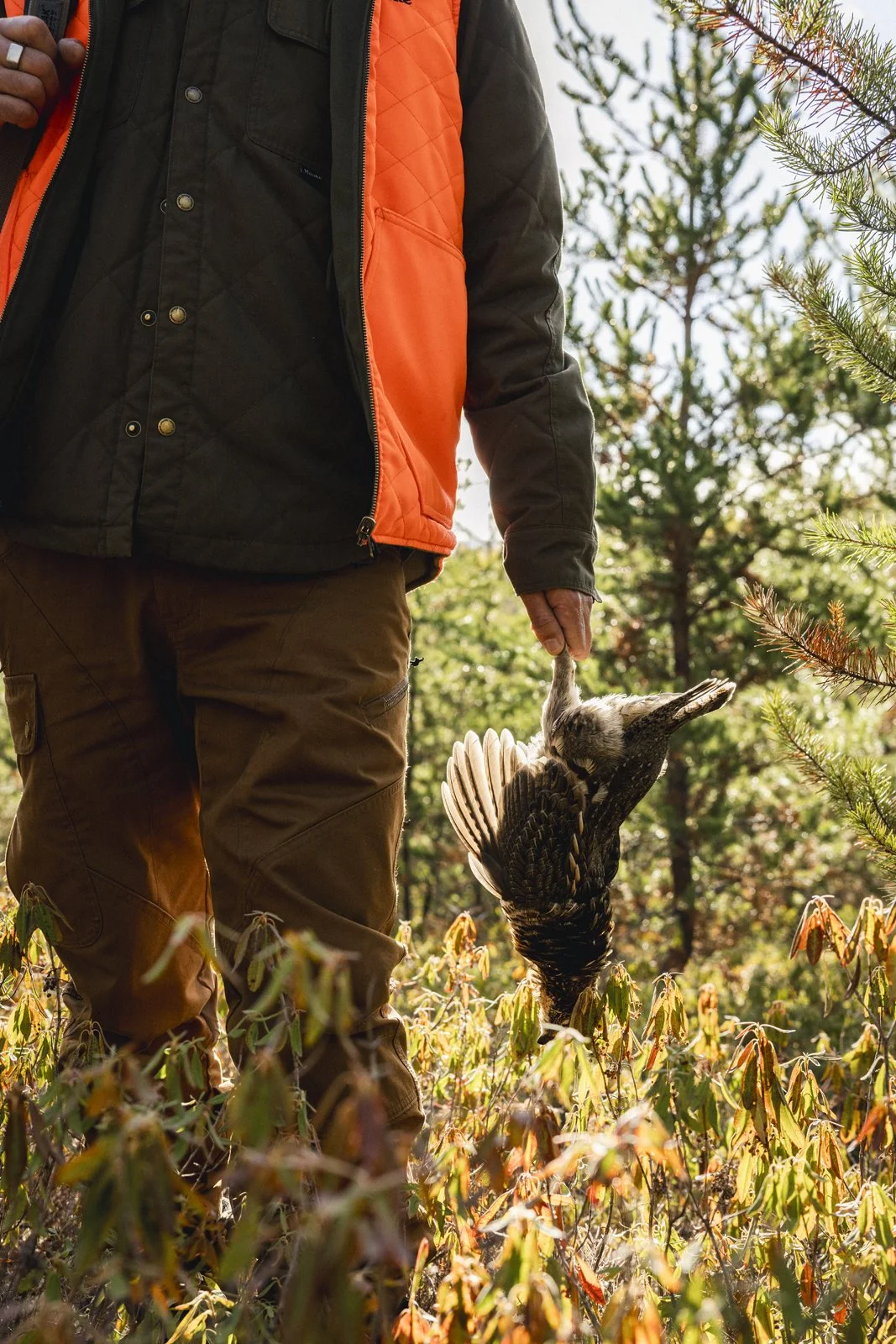 2025-10-13_ChasseGelinotte- Karl-ErikBilodeau -64.jpg