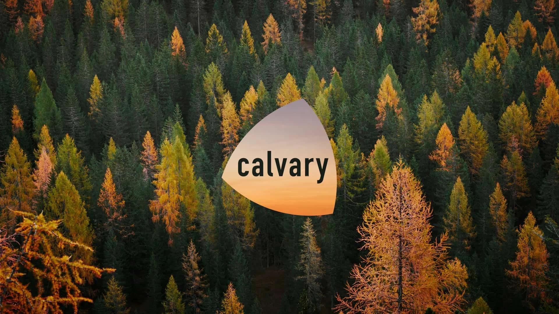 Applications for Elder, Deacon, and Regents