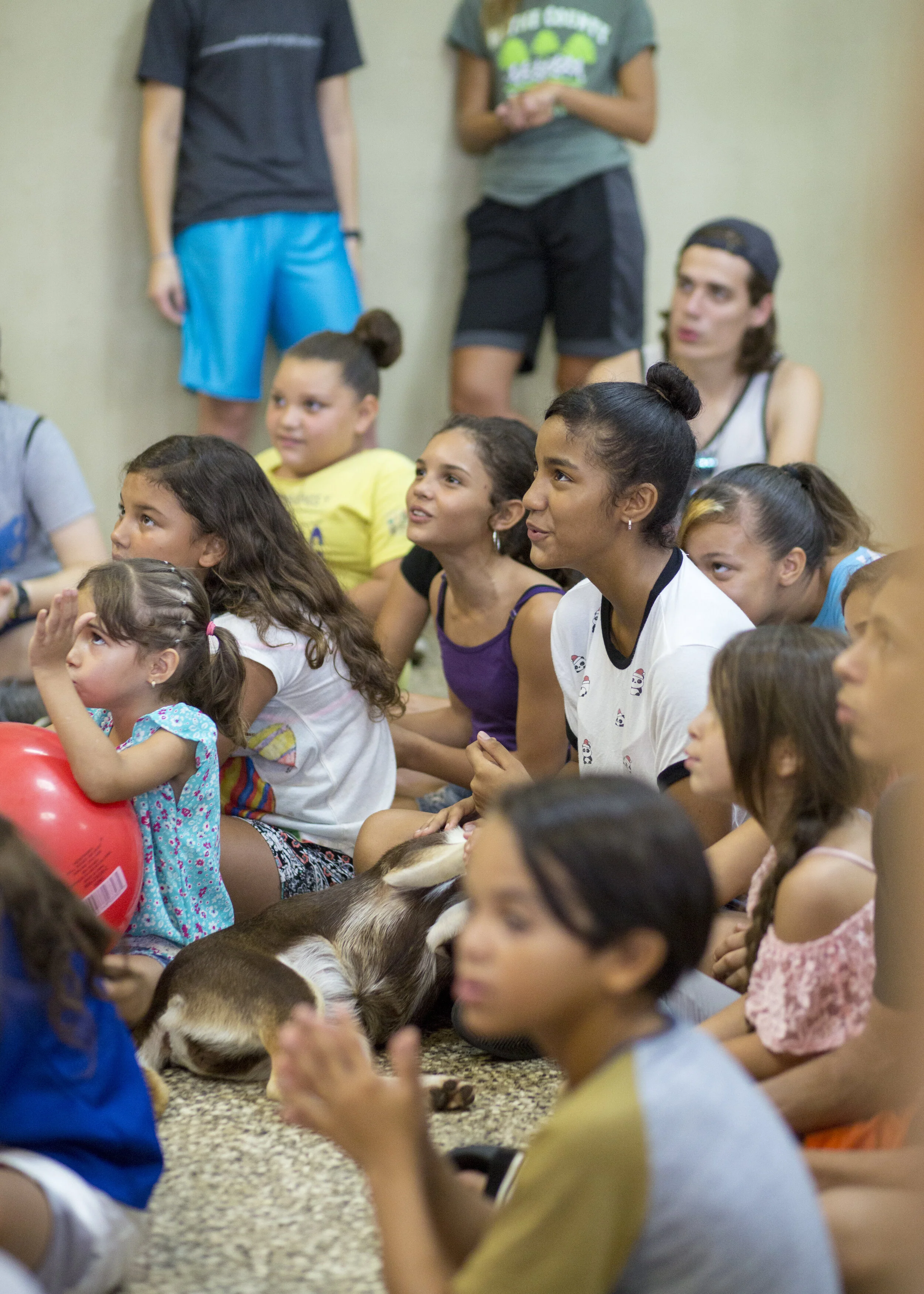 Puerto Rico 18 025.JPG