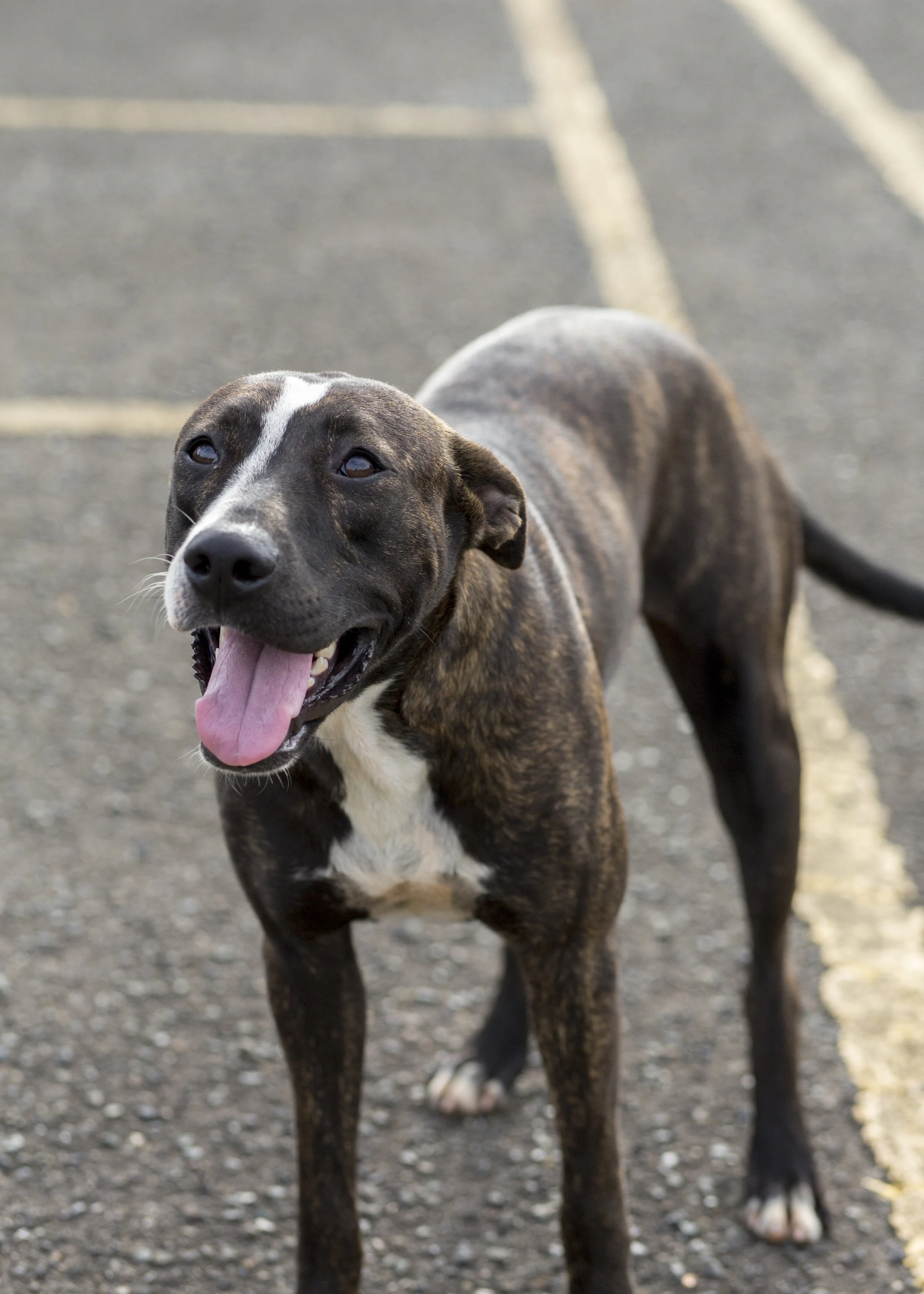 Puerto Rico 18 059.JPG