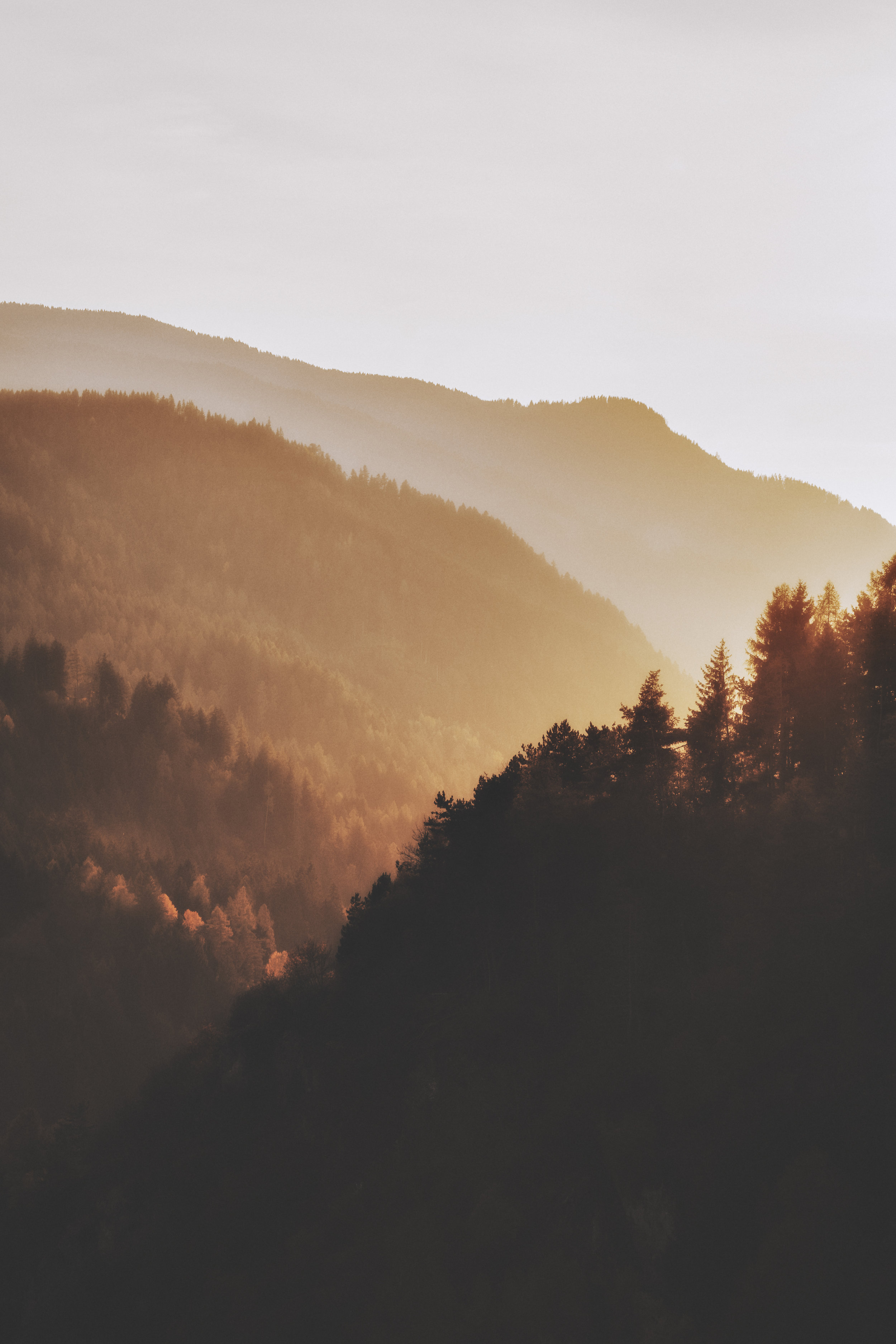 New Song Devo: Oh My Soul