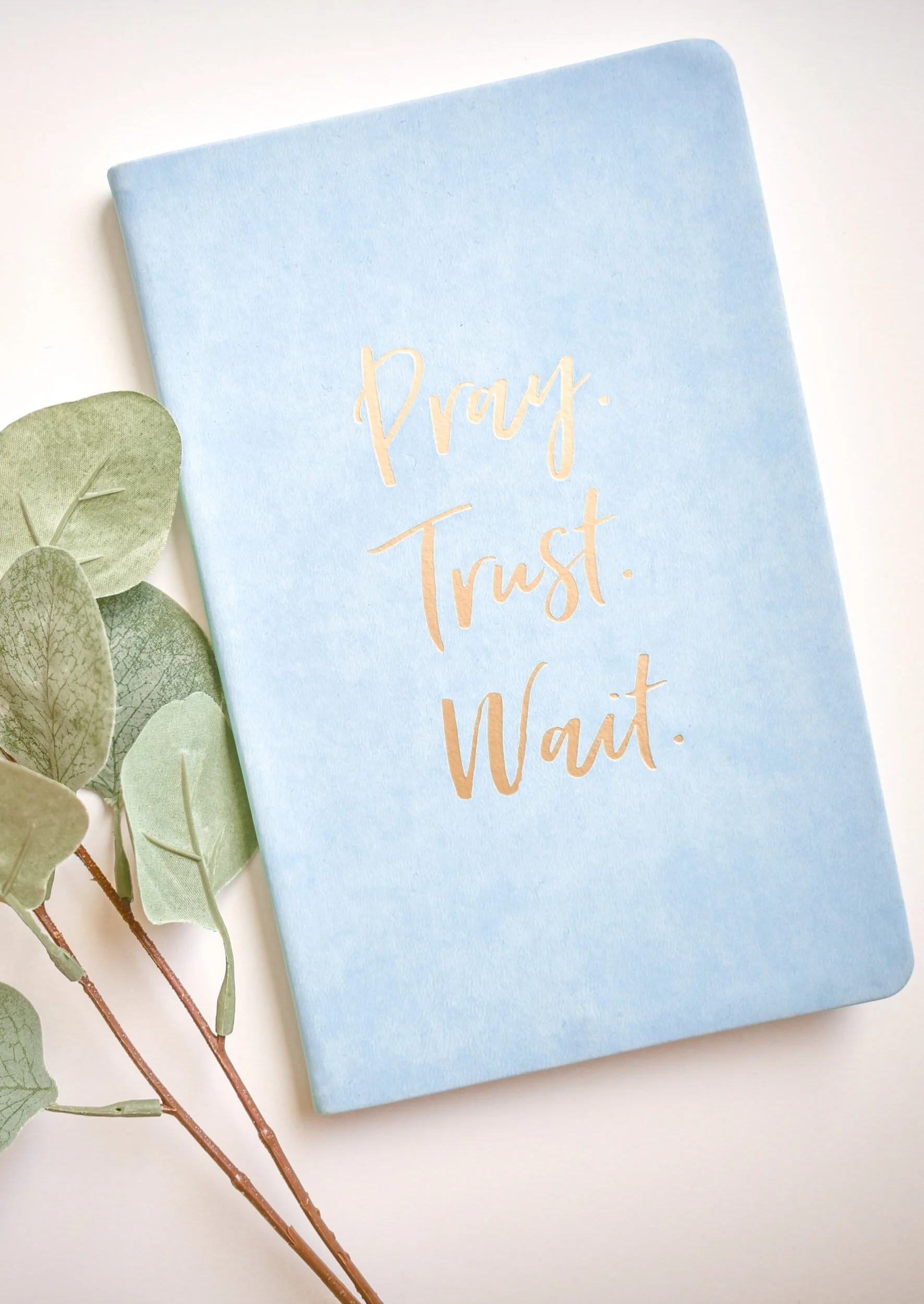 Trust Our Unchanging God