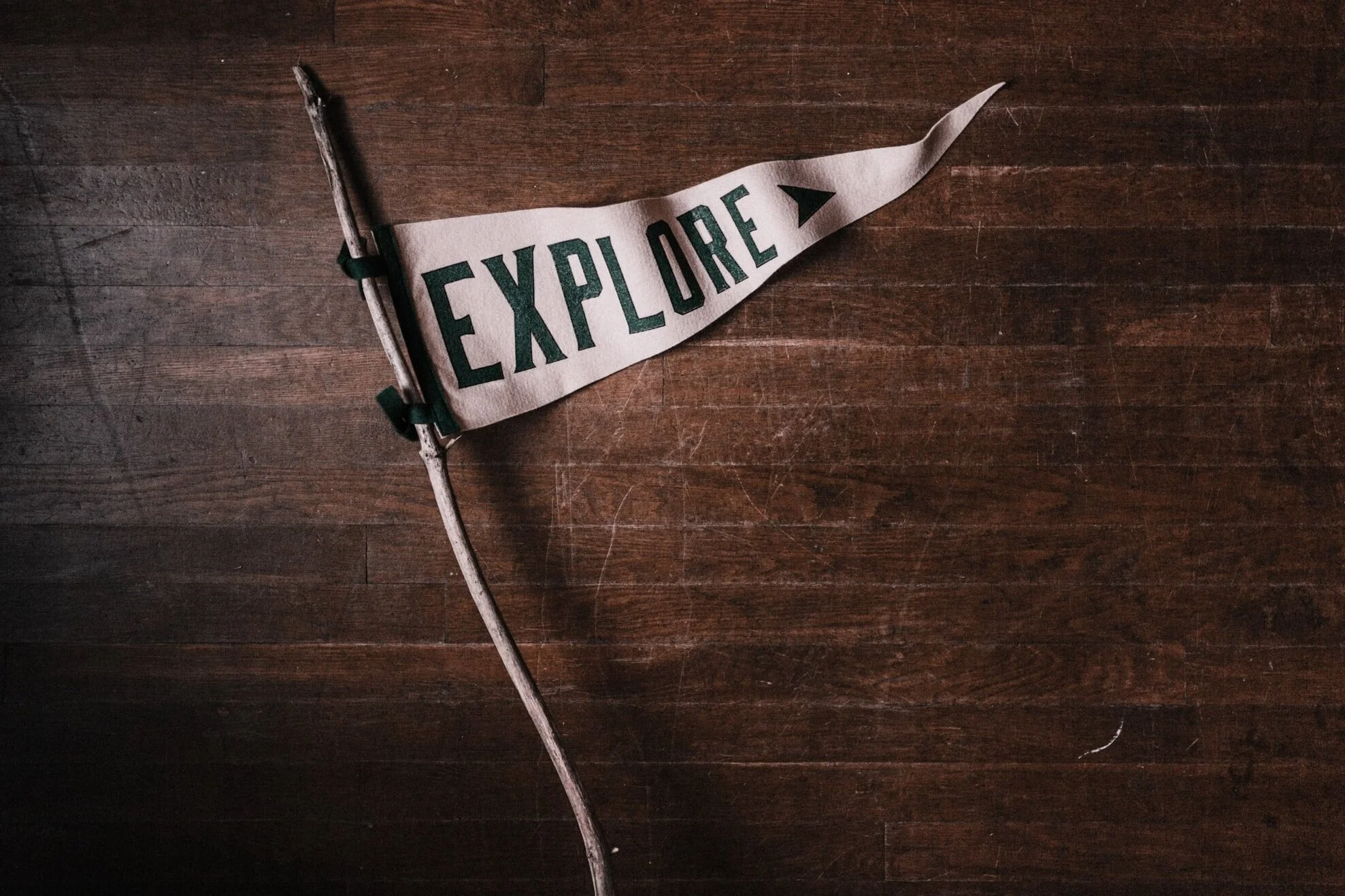 Family Night - Pick Your Path Adventure