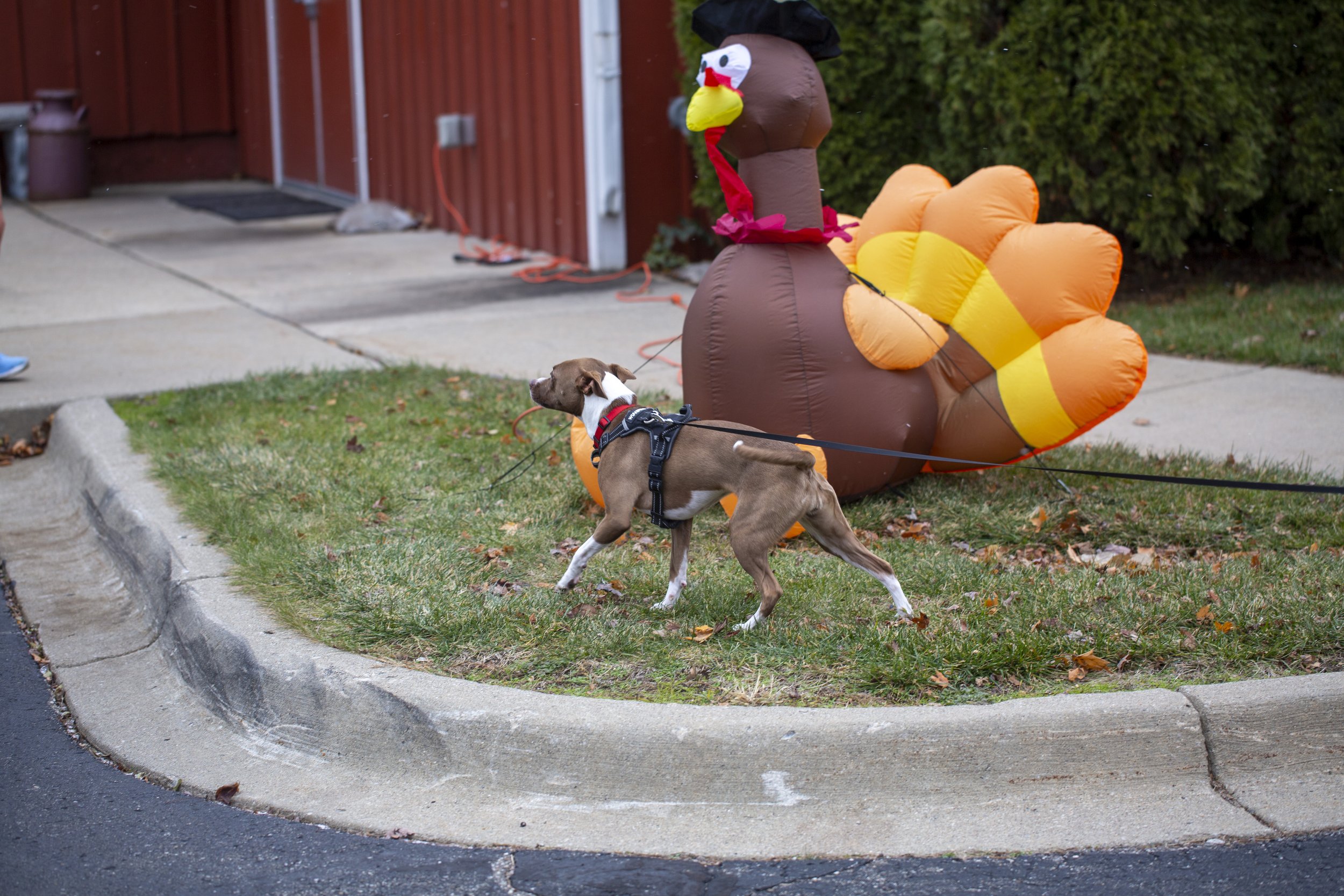 Thanksgiving Weekend 2021_13.jpg