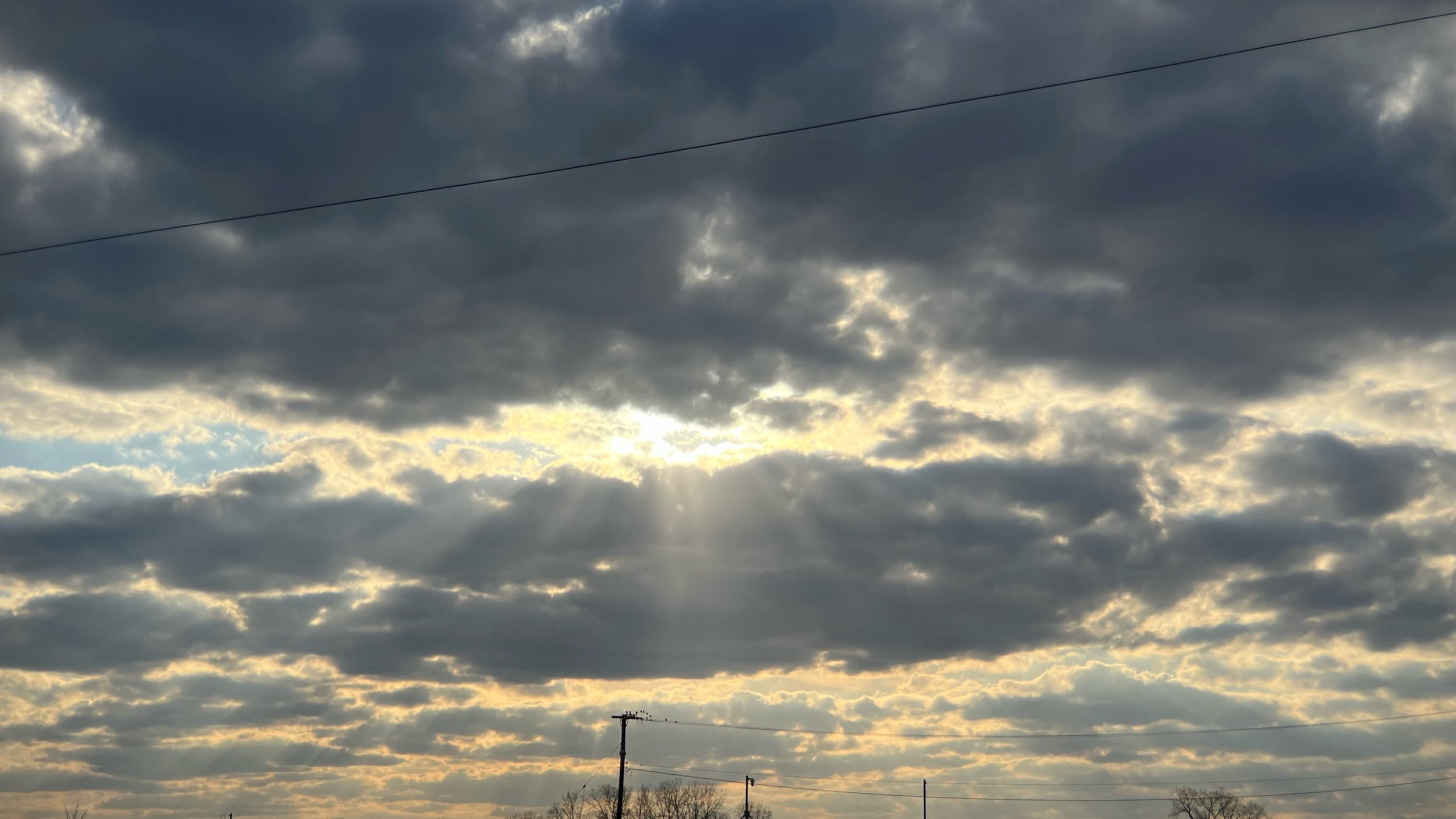IMG_0409.jpeg