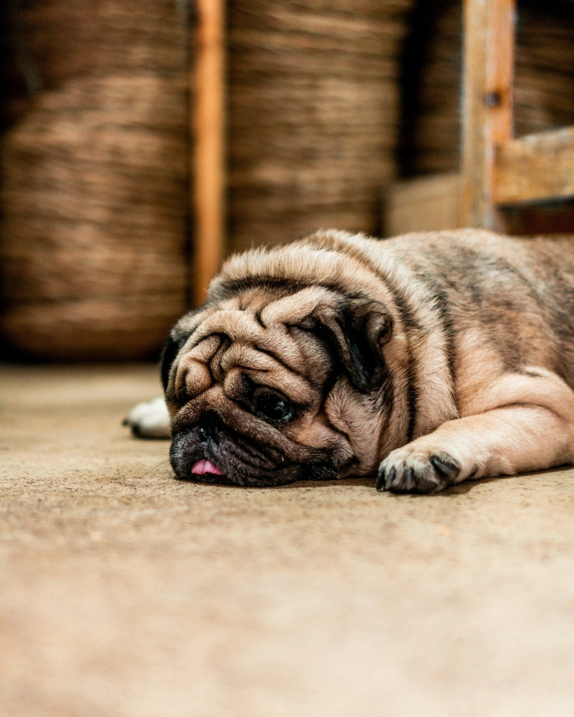 Are You Spiritually Lazy?
