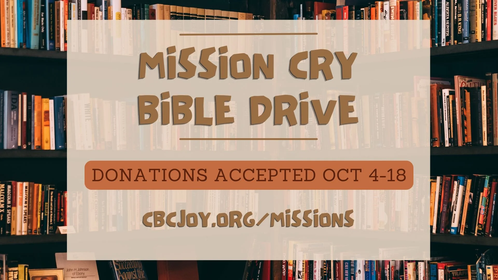 Mission Cry.jpg
