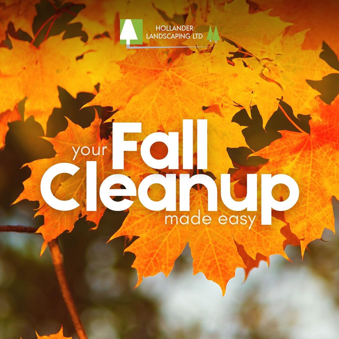 Leaves are falling &mdash; let us handle the cleanup!🍂
Book your fall cleanup now and enjoy a tidy yard without the hassle! Contact us for more details.
&hellip;
#HollanderLandscaping #LeafCollection #FallCleanup