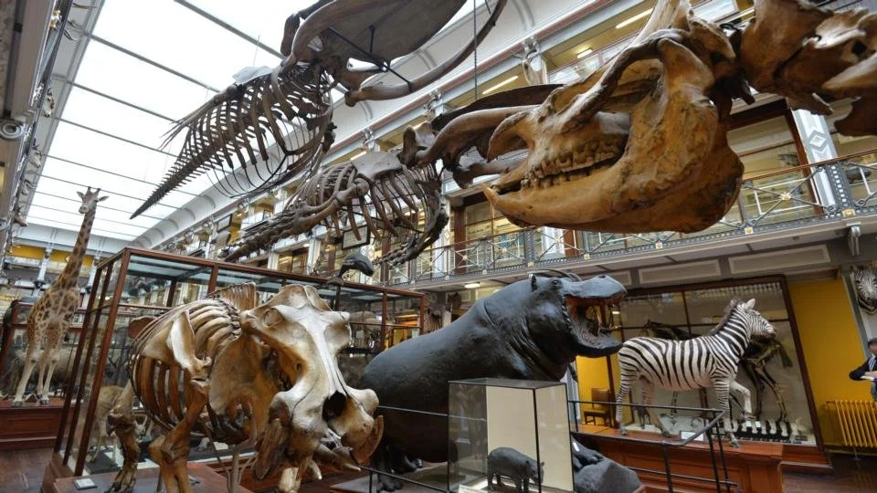 The Dead Zoo Documentary 