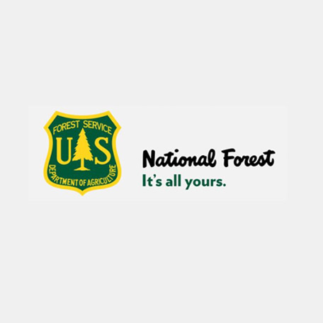 caseStudy_image_0003_nat forest.jpg