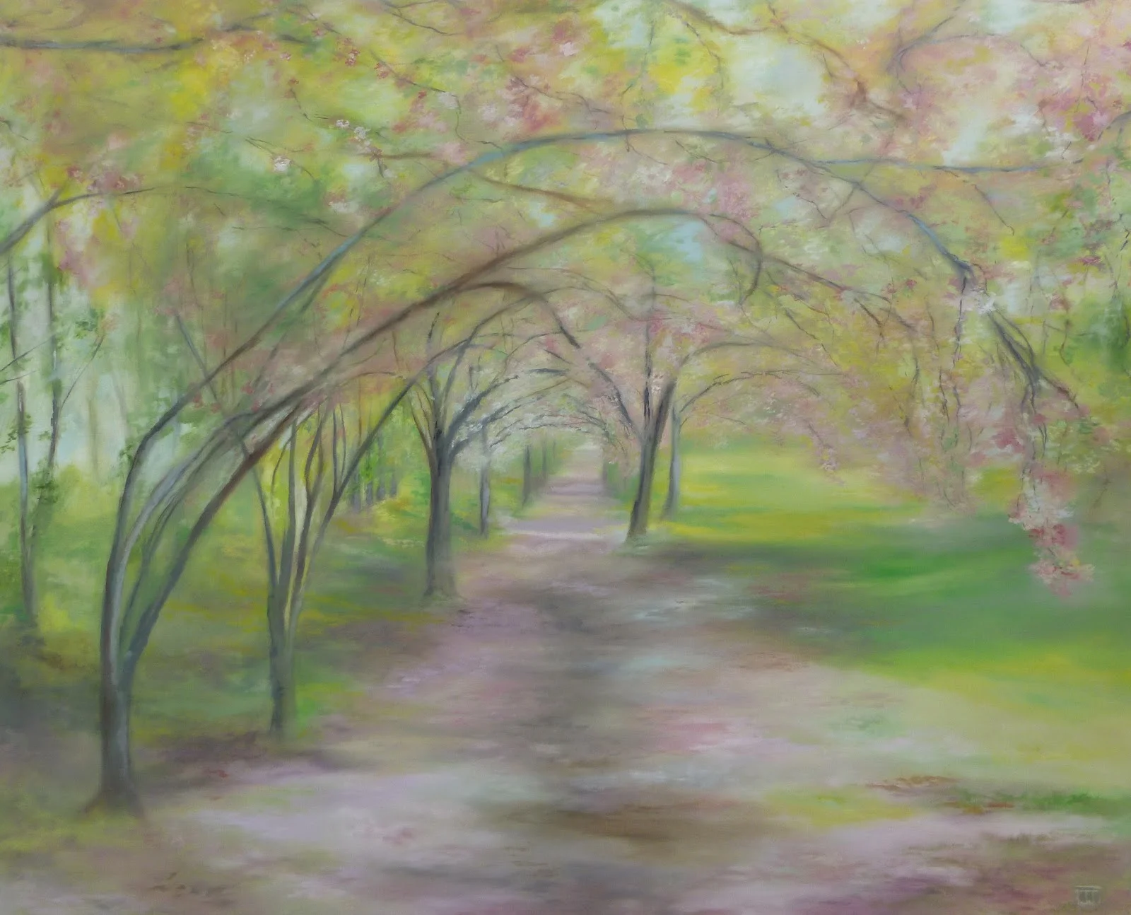 spring /central park n.y