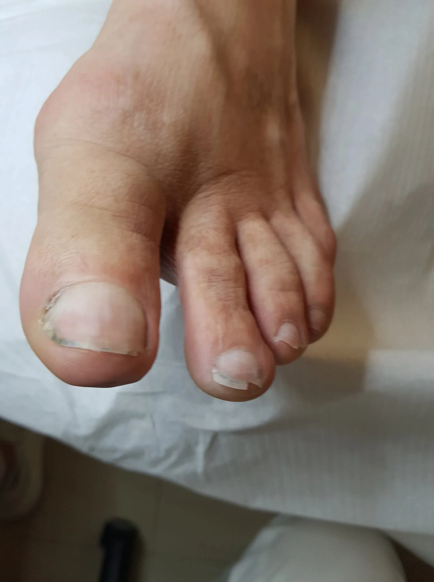 67836389_600567030471040_2452326390716956672_n (1).jpg