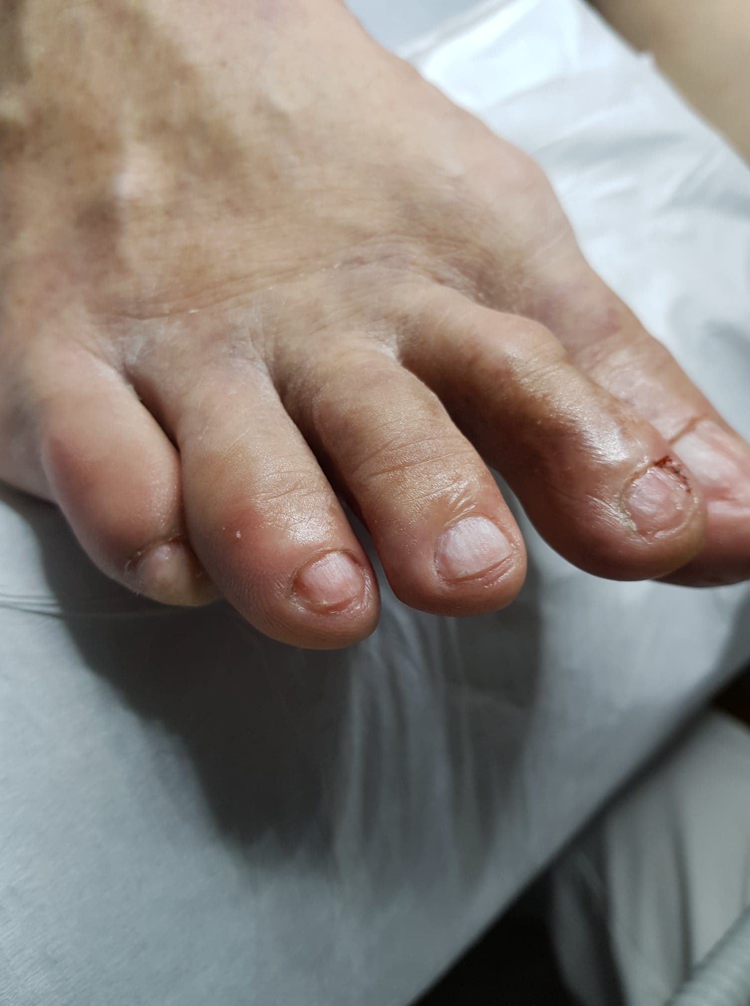 68532618_880639545662765_4924430994162843648_n (1).jpg