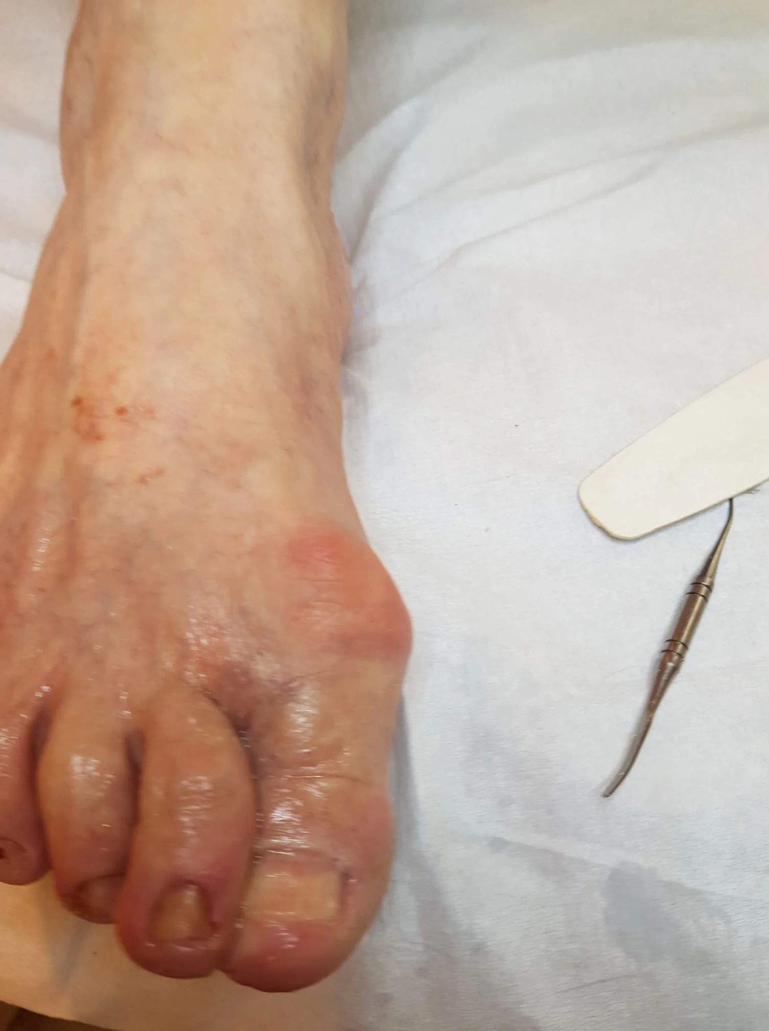 68599730_482900398941300_2051188840546172928_n (1).jpg