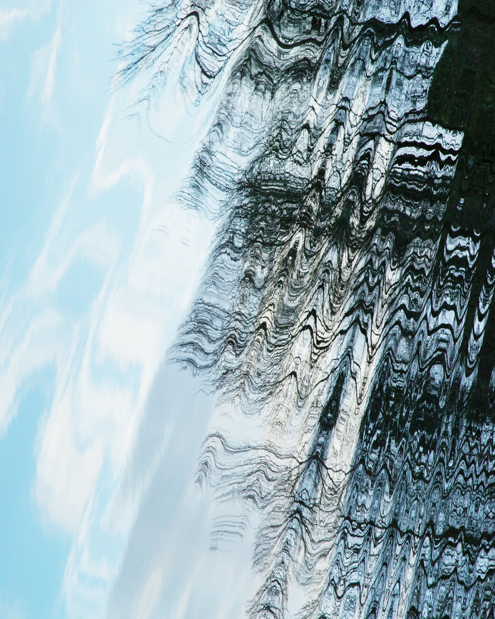 9Y0A4595.jpg